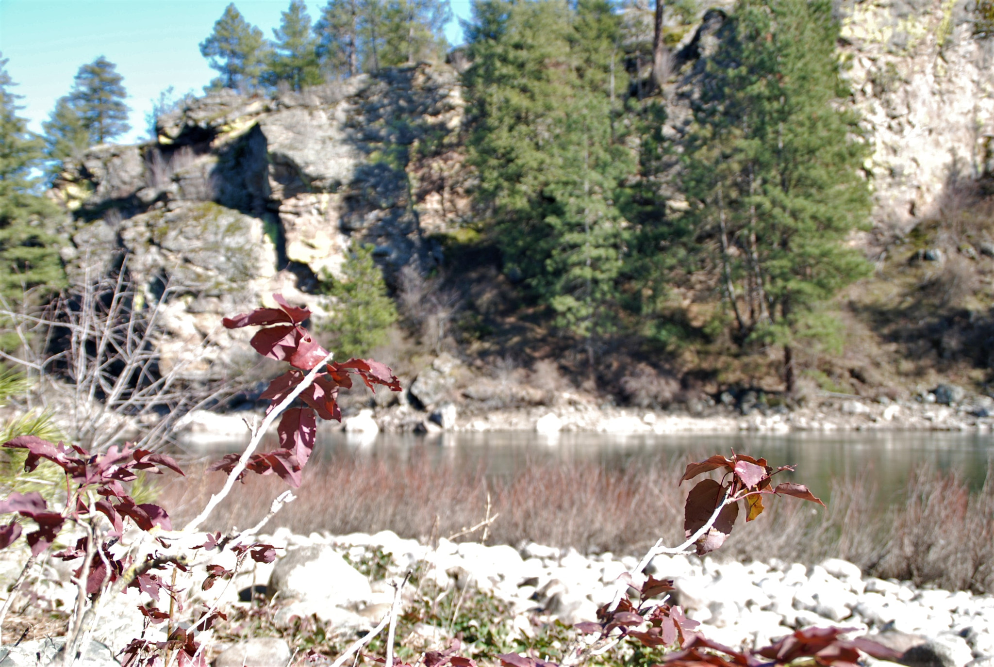 Nikon D80 sample photo. Growingup photography