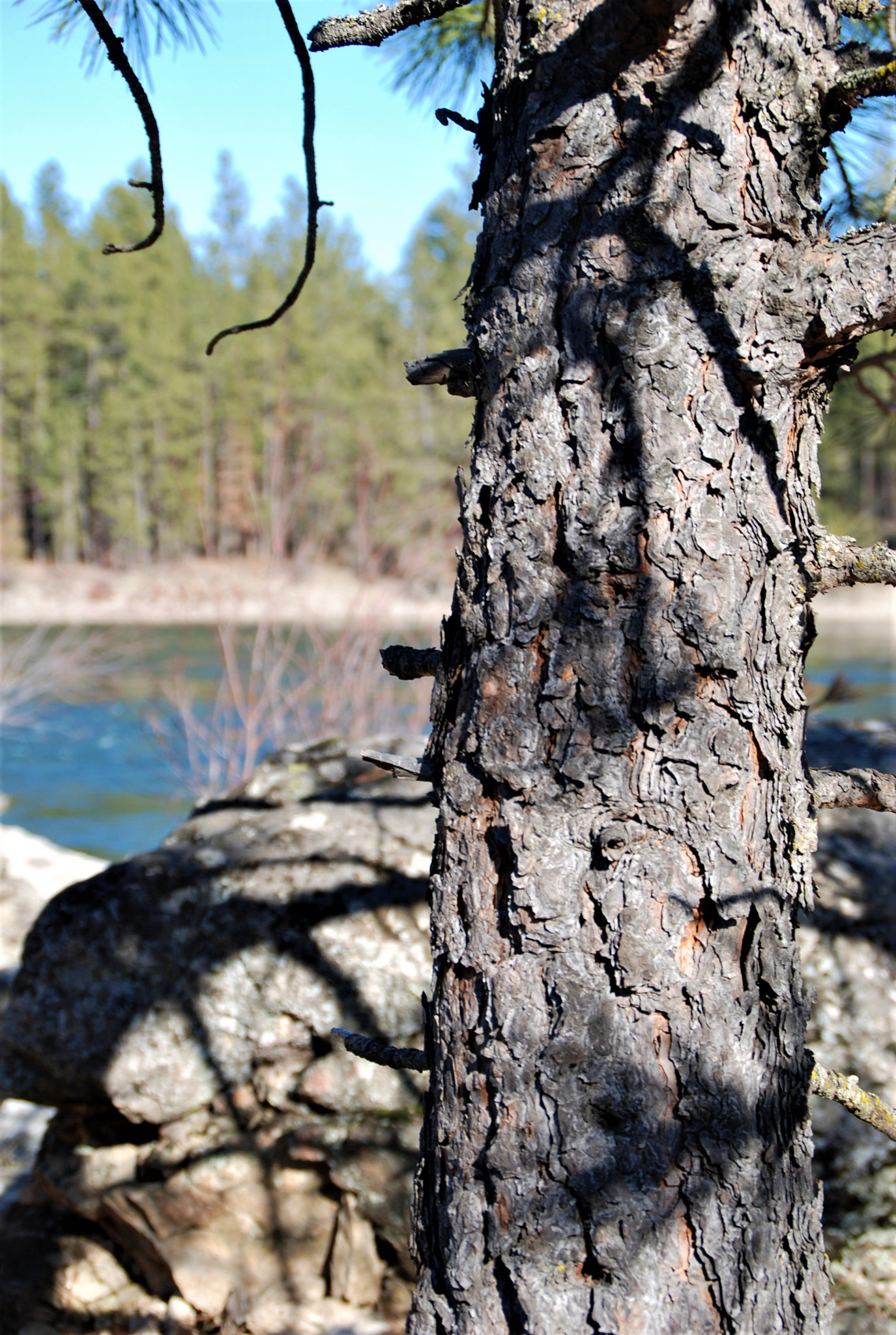 Nikon D80 sample photo. Shadow photography