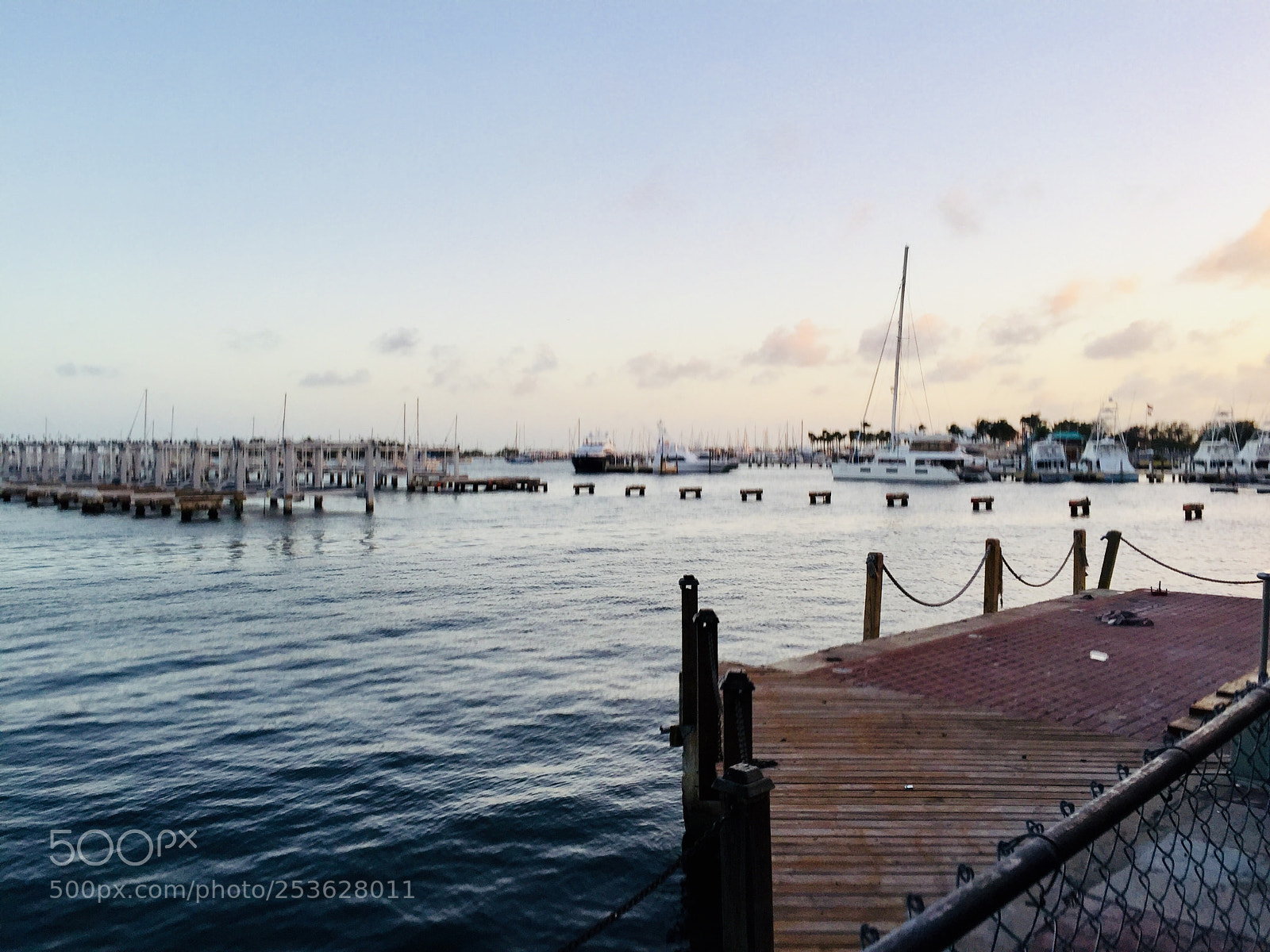 Apple iPhone 6 Plus sample photo. Coconut grove photography