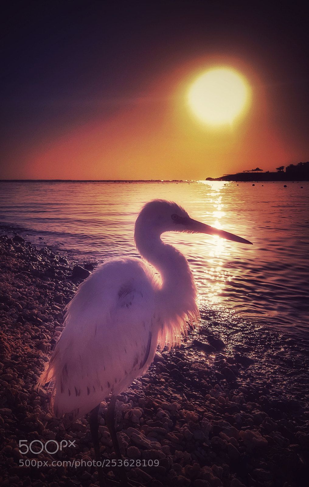 Samsung Galaxy S6 sample photo. Fishing photography