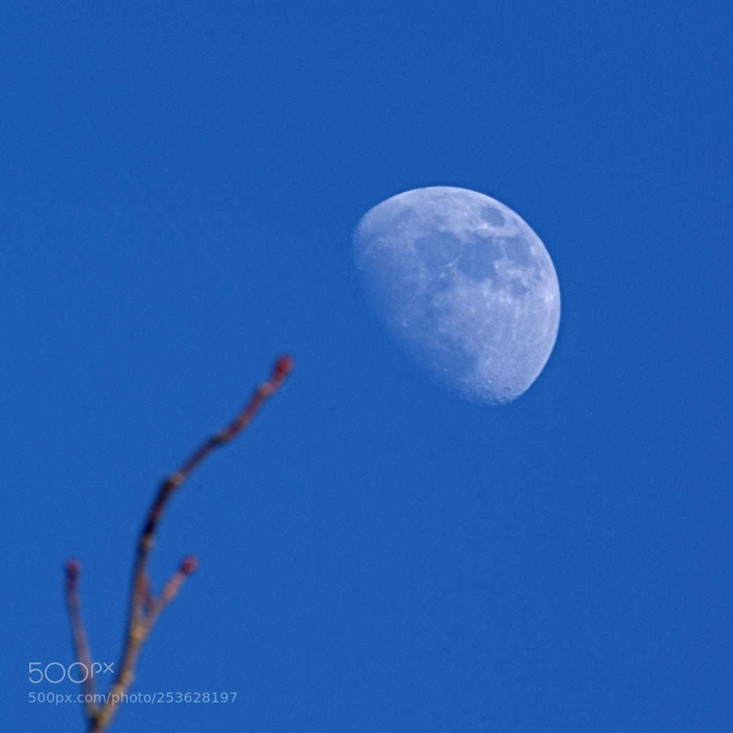 Pentax K-3 sample photo. Blue sky moon photography