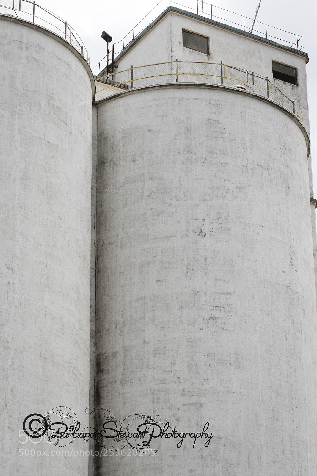 Canon EOS 7D sample photo. Ride around town photography
