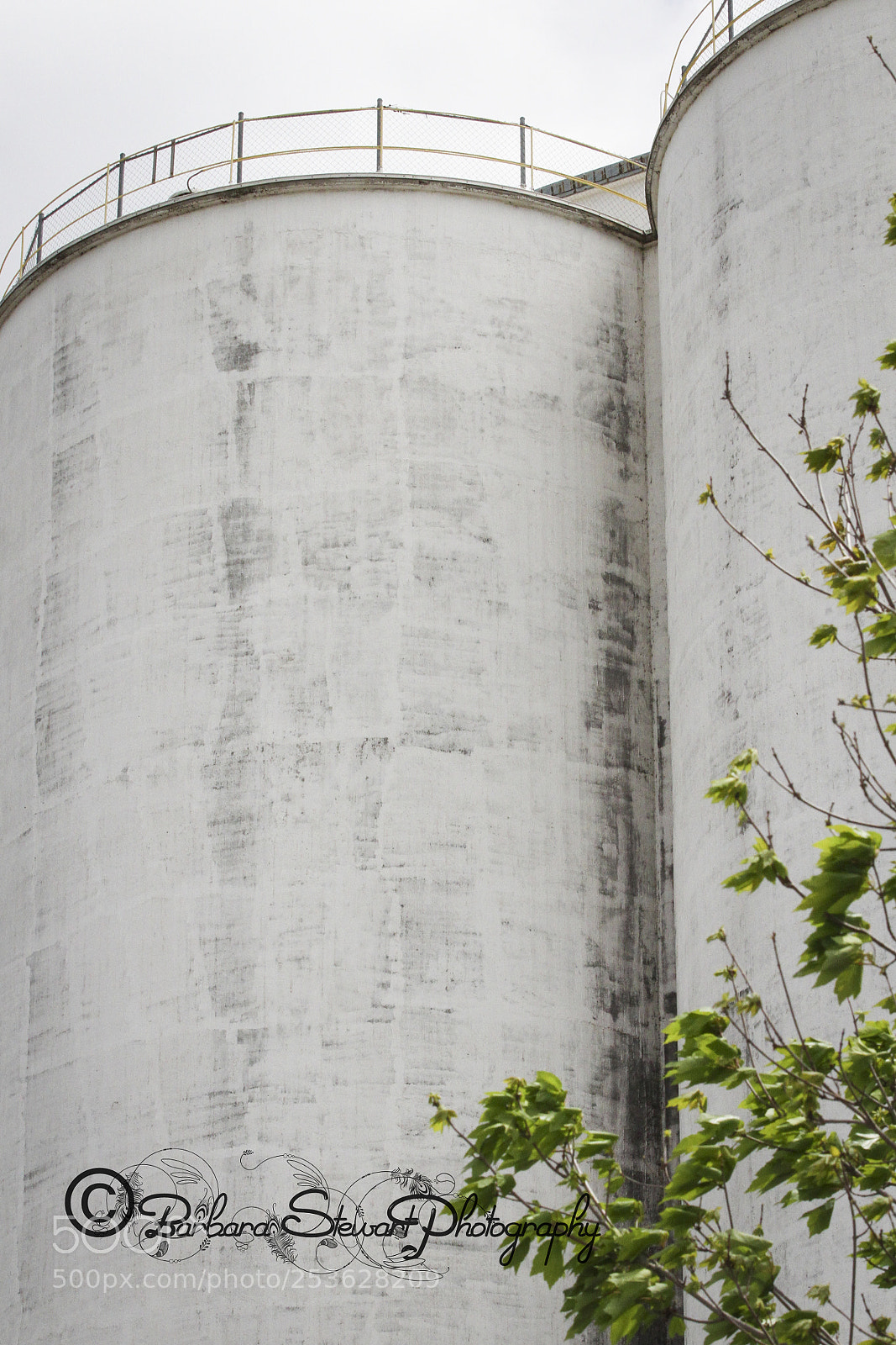 Canon EOS 7D sample photo. Ride around town photography