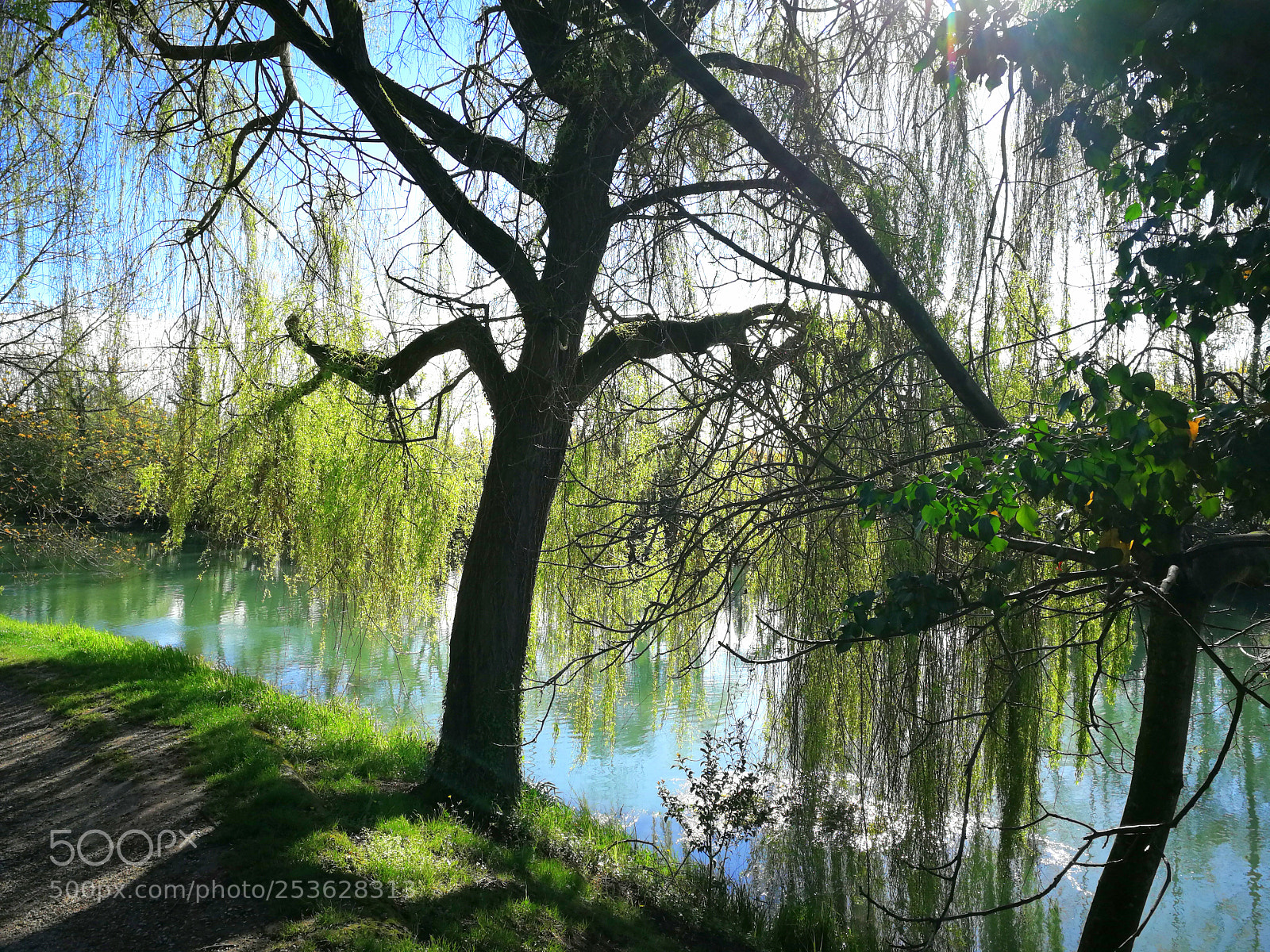 HUAWEI P10 sample photo. Rive sile monte casier photography