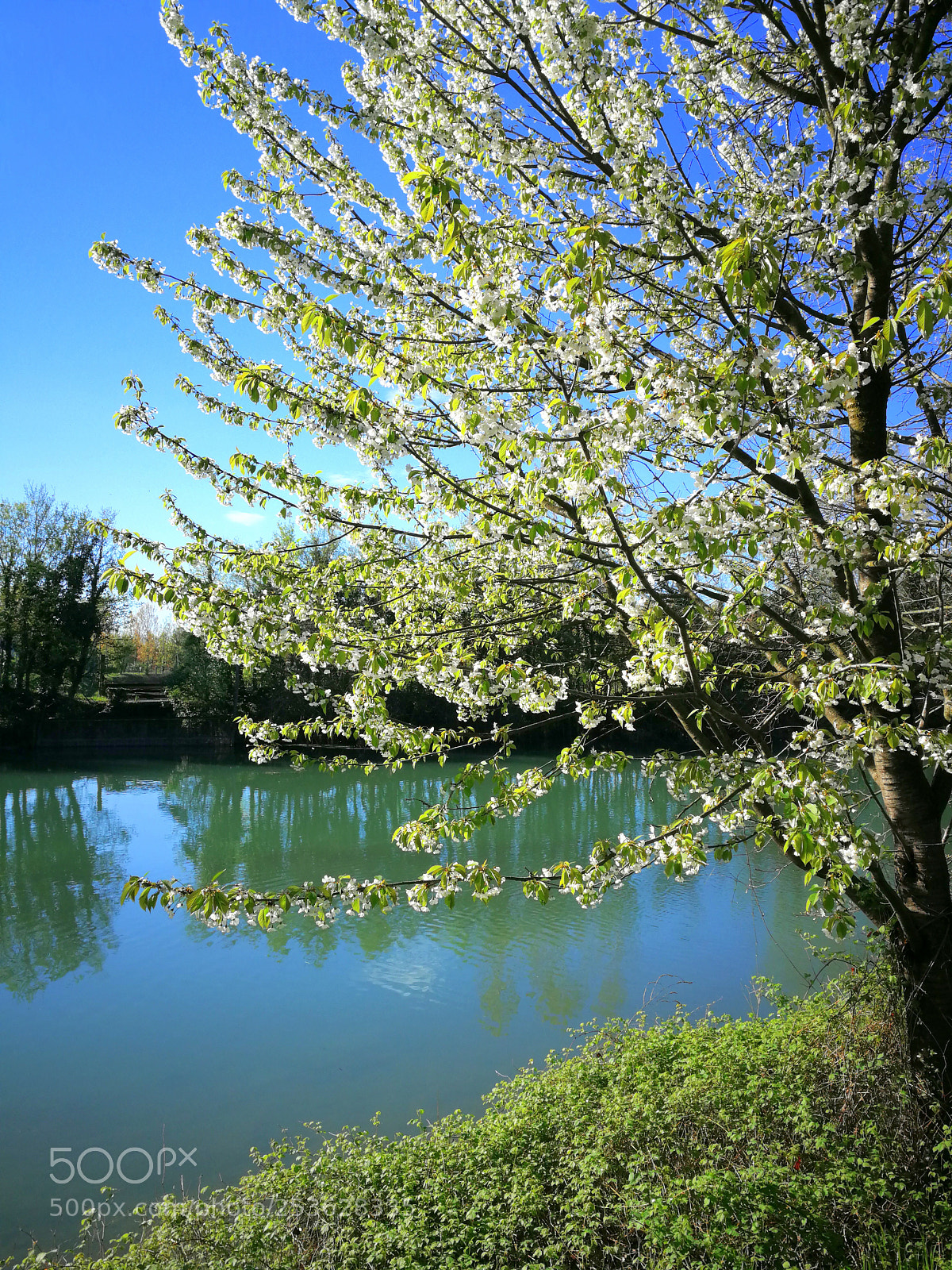HUAWEI P10 sample photo. Rive sile monte casier photography