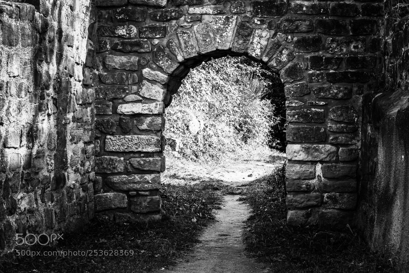 Nikon D3300 sample photo. Schlossburg ruins photography