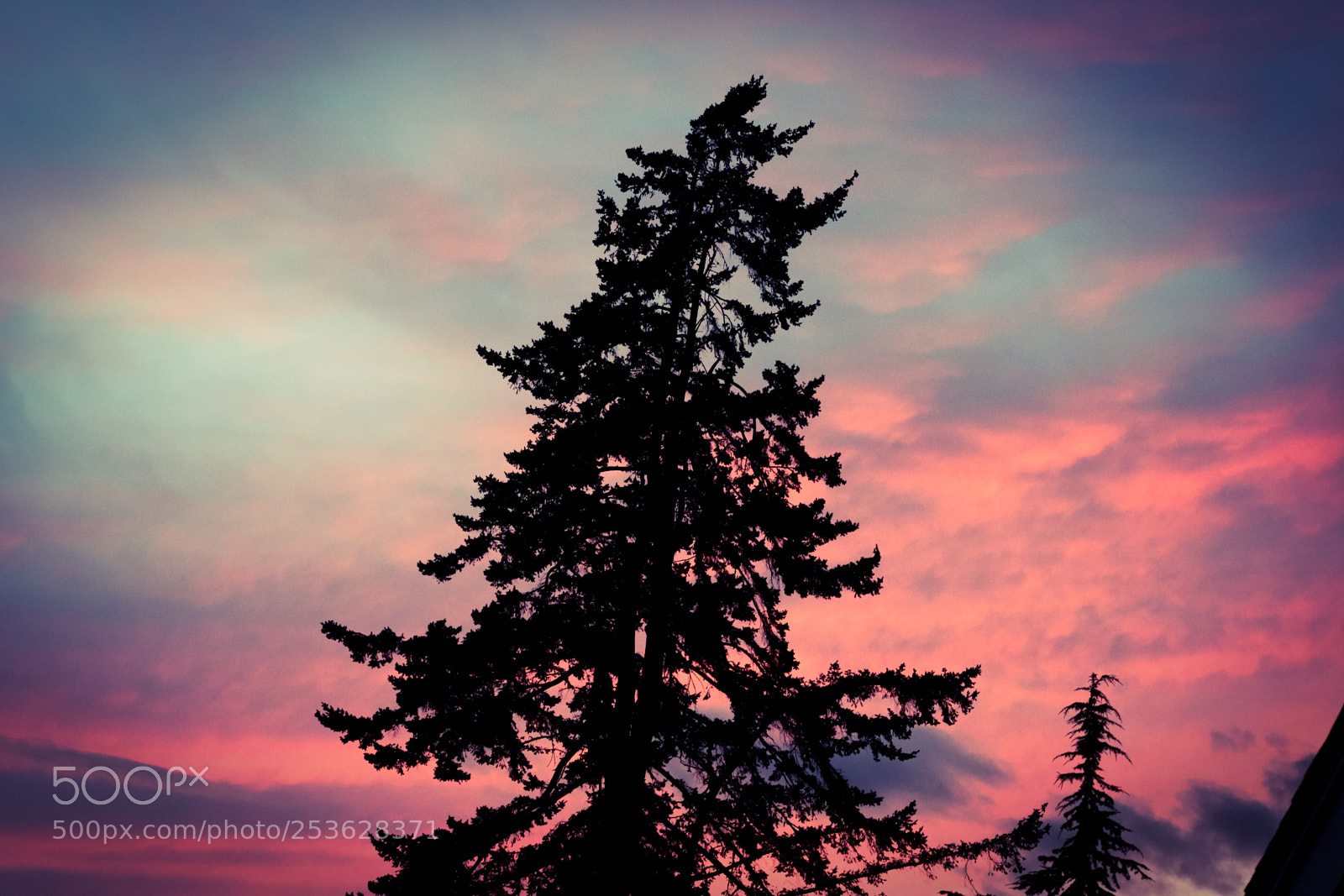 Nikon D3300 sample photo. Clouds on fire photography