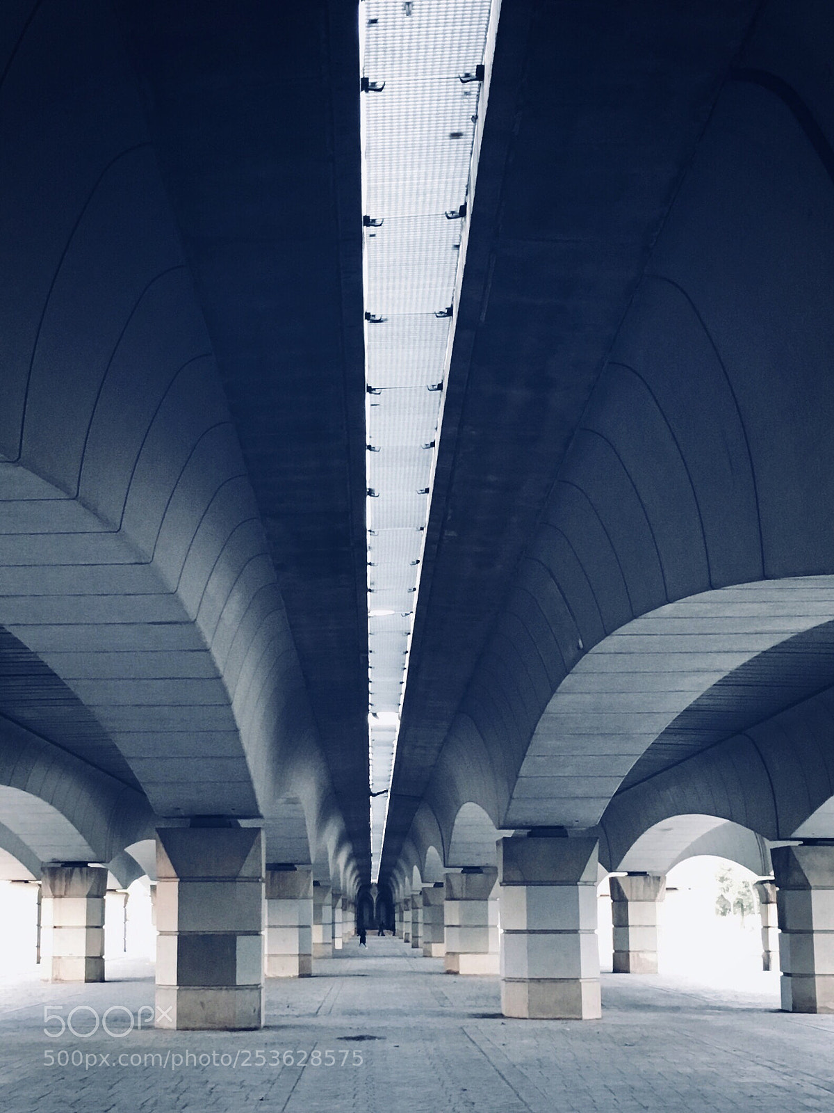 Apple iPhone SE sample photo. Untitled photography