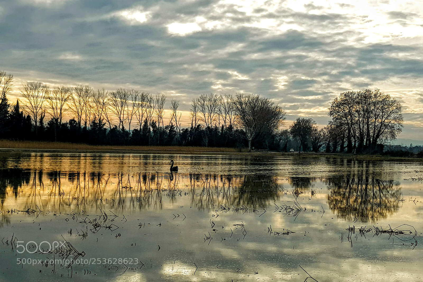 Samsung Galaxy S8 sample photo. I sambic photography