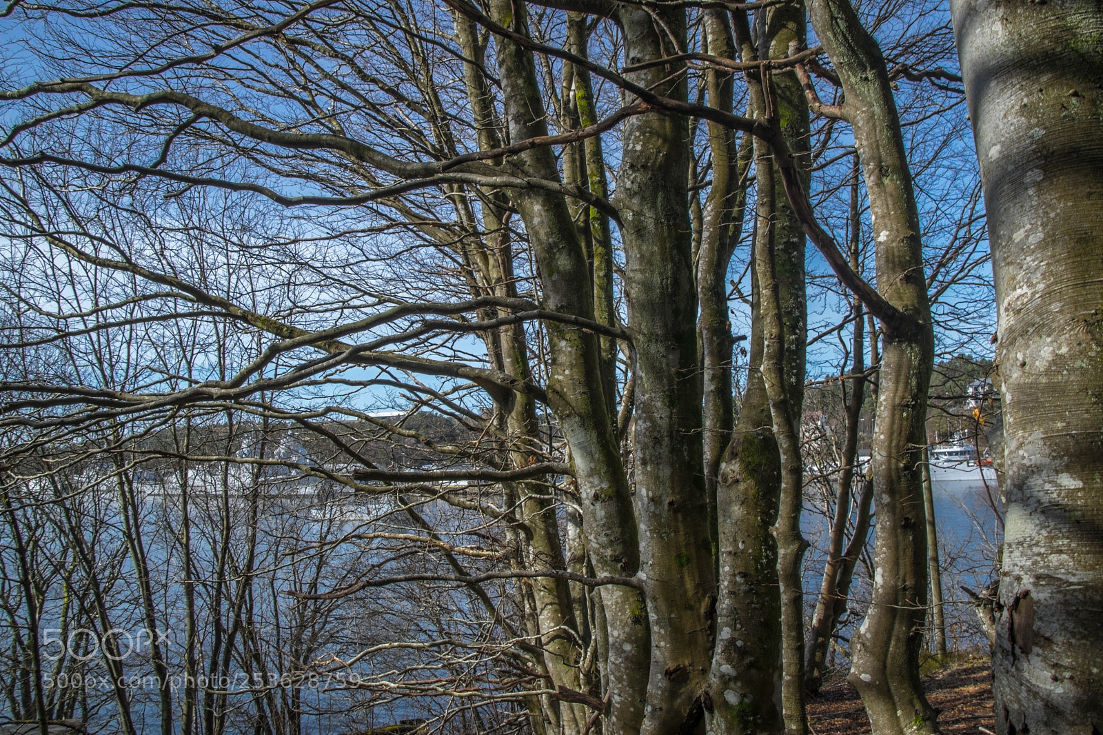Nikon D5300 sample photo. Reaching out photography