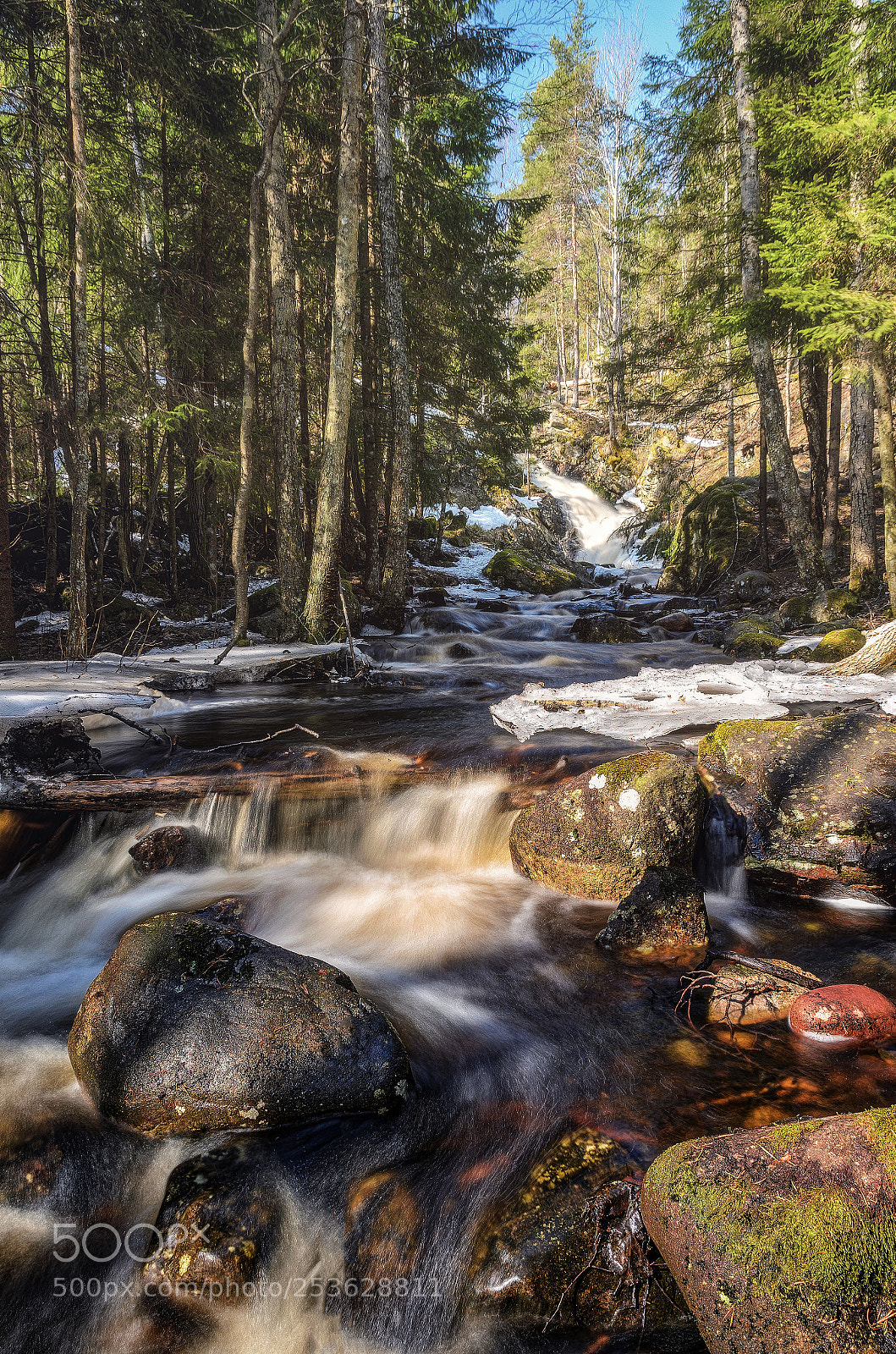 Nikon D7000 sample photo. Flow of spring photography