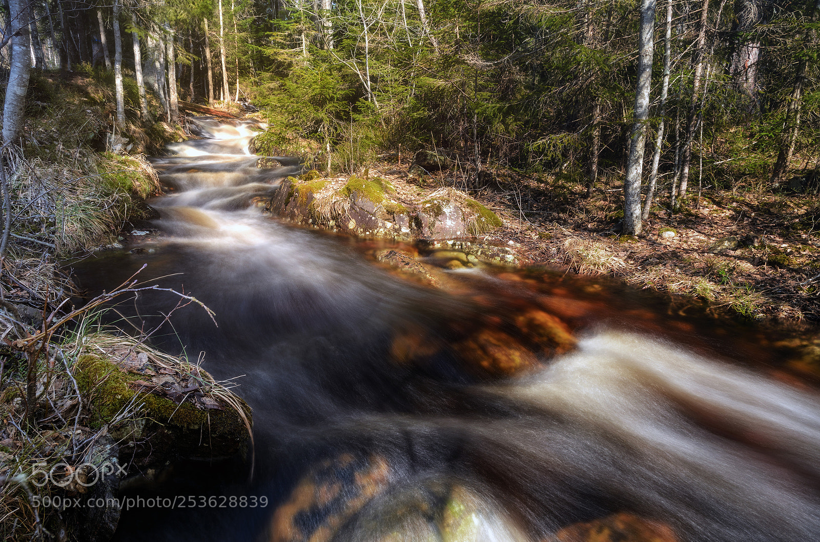 Nikon D7000 sample photo. Flow of spring ii photography