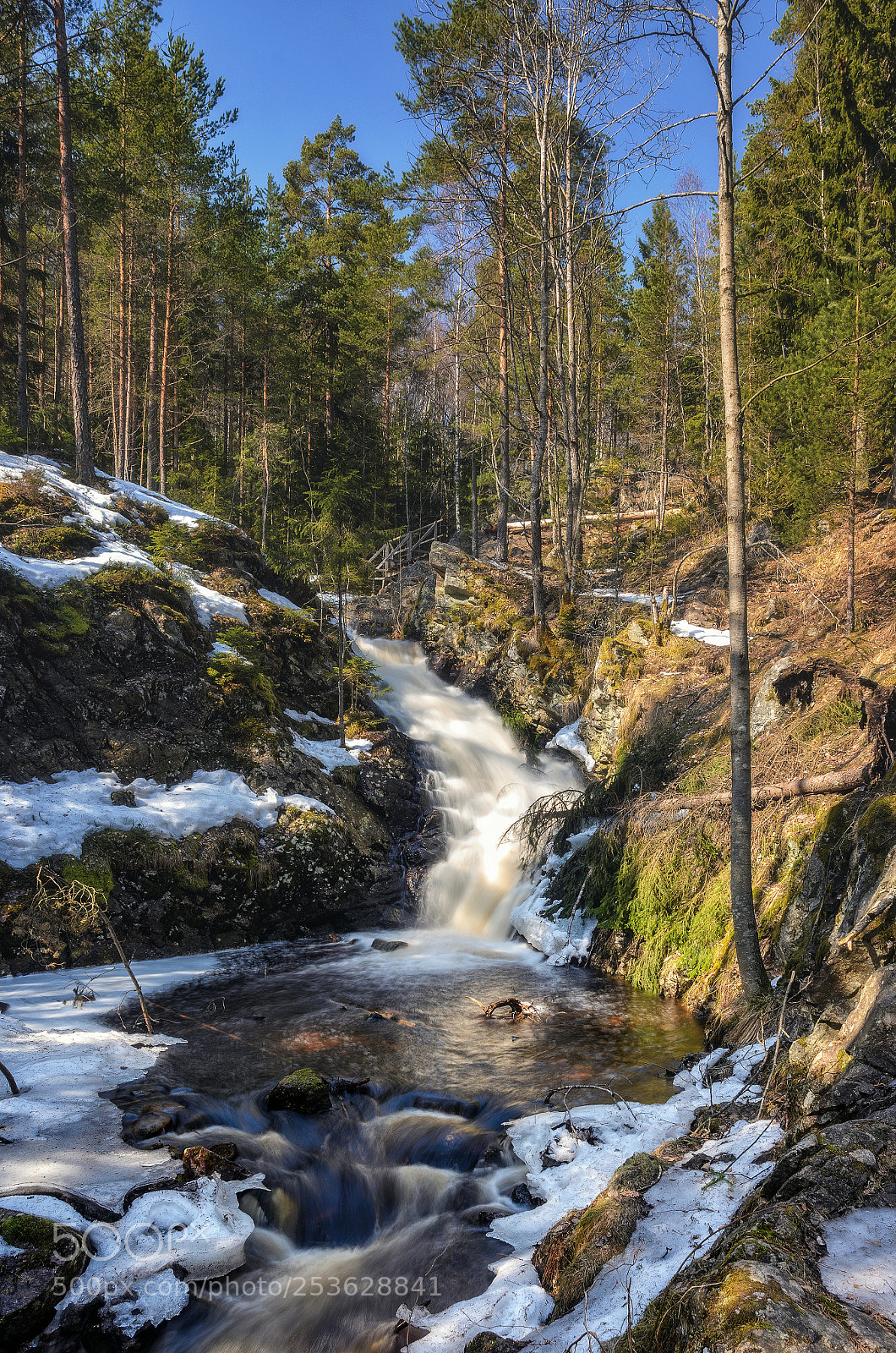 Nikon D7000 sample photo. Flow of spring iii photography