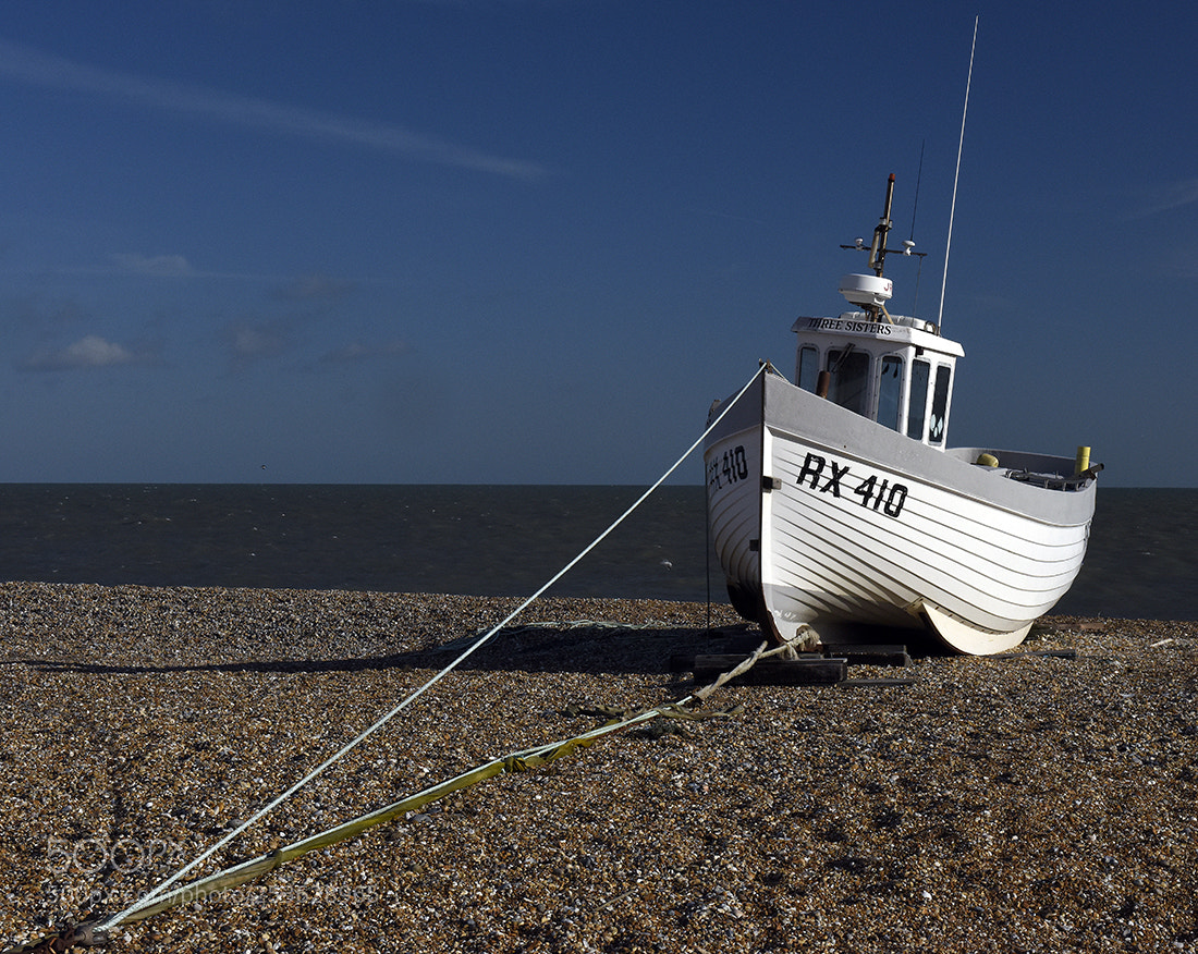 Nikon D810 sample photo. Beached photography