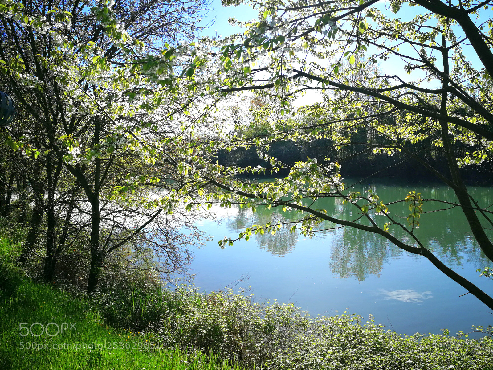 HUAWEI P10 sample photo. Rive sile monte casier photography