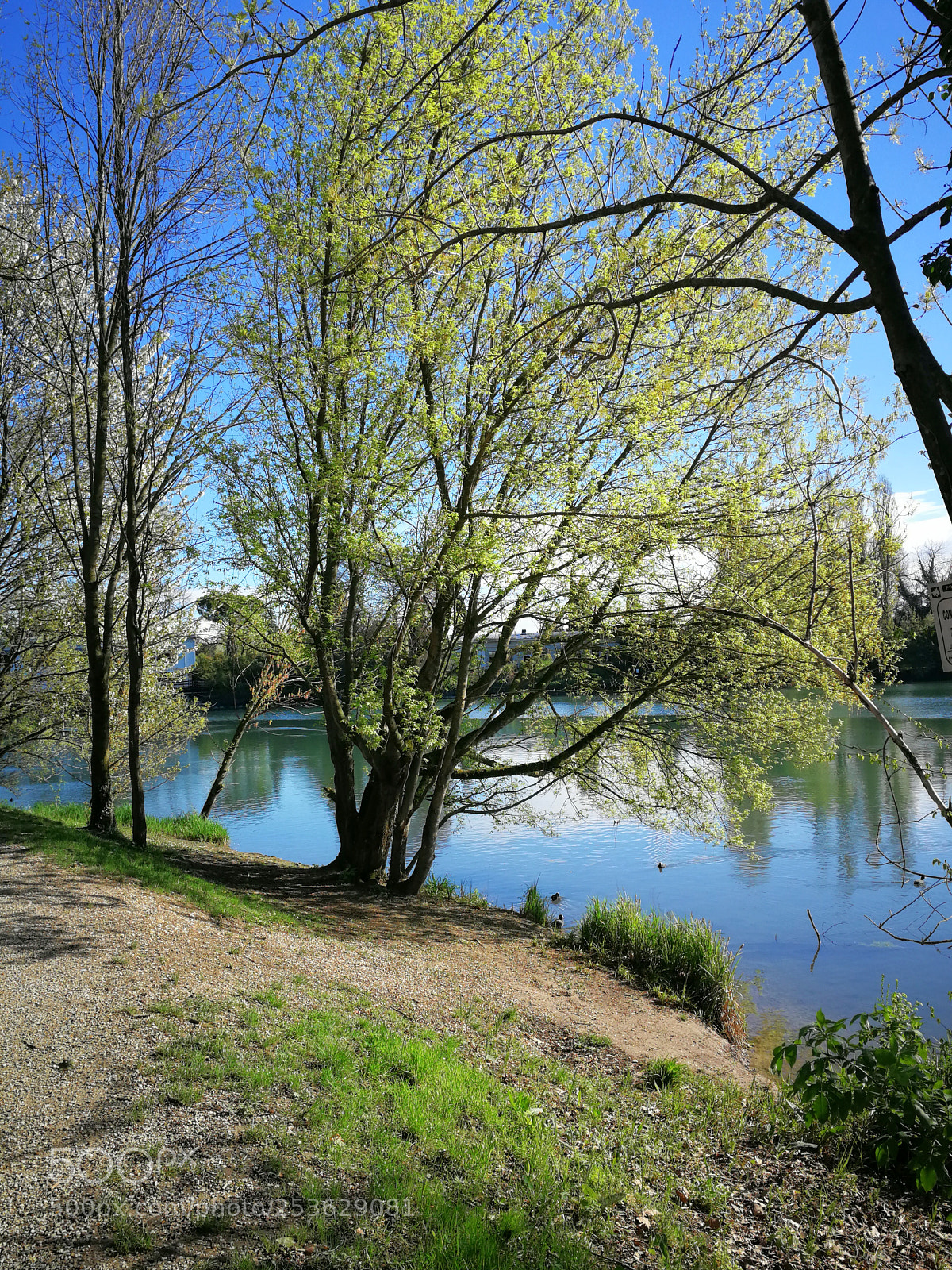 HUAWEI P10 sample photo. Rive sile monte casier photography