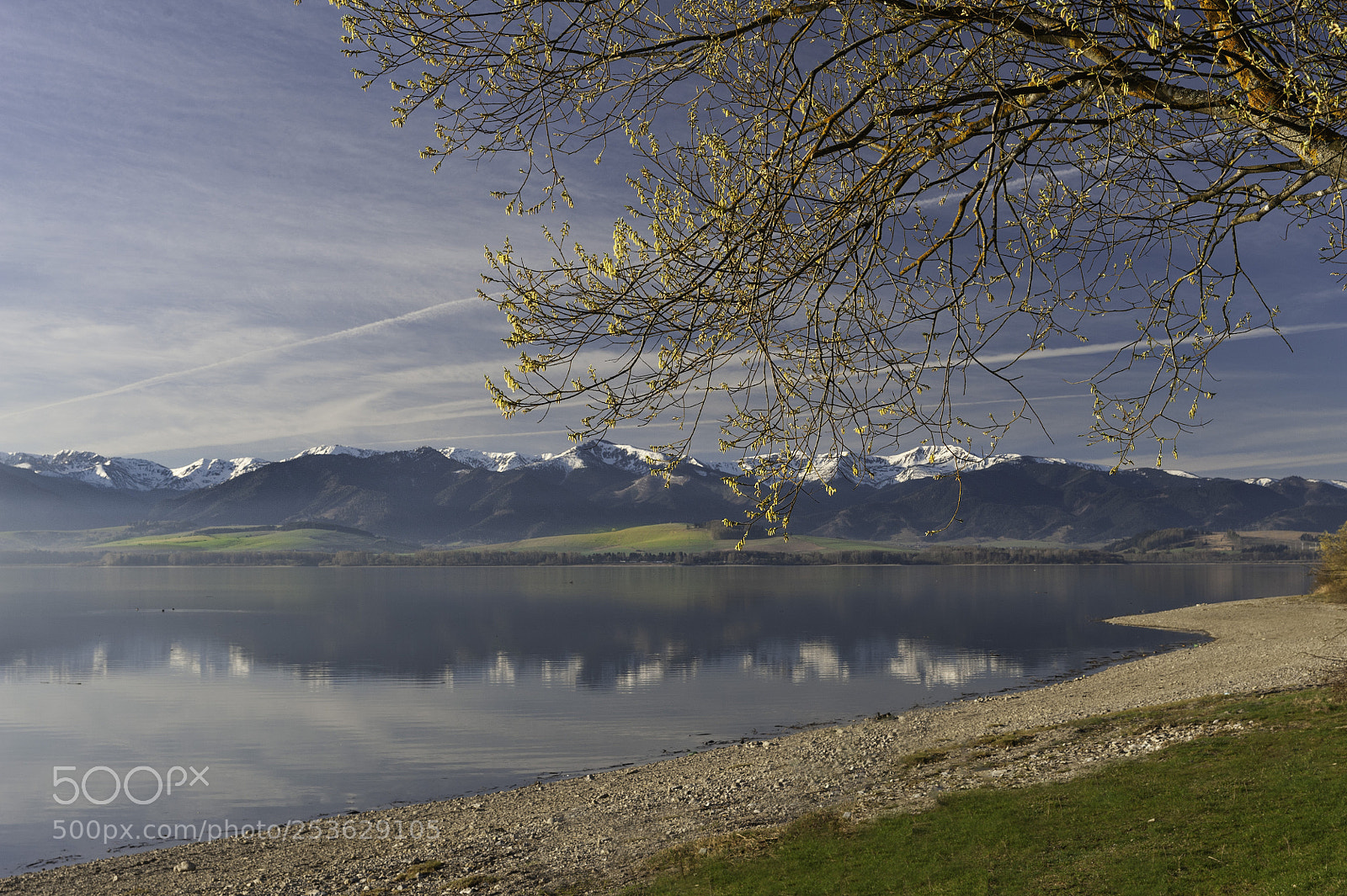 Nikon D700 sample photo. Spring reflections photography