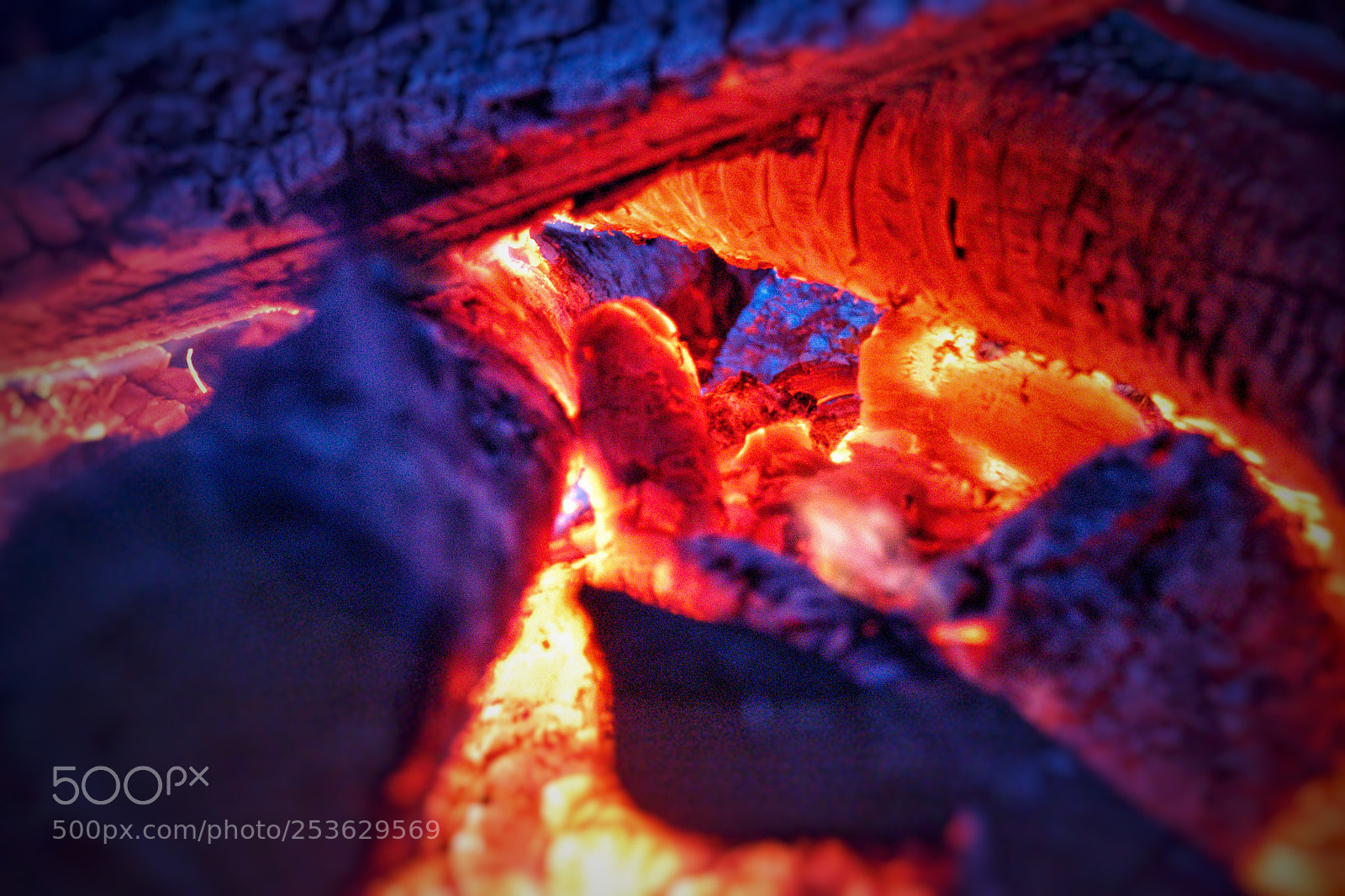 Canon EOS 760D (EOS Rebel T6s / EOS 8000D) sample photo. Fire burns photography