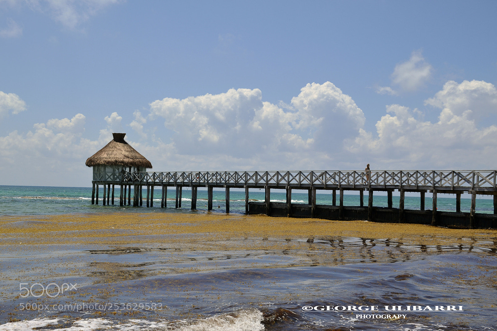 Nikon D3100 sample photo. Riviera maya photography
