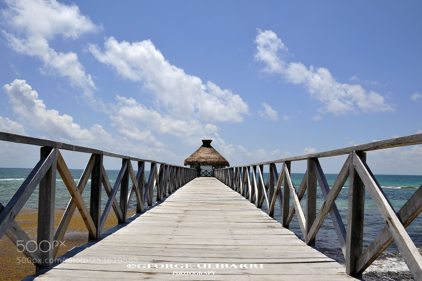 Nikon D3100 sample photo. Riviera maya photography