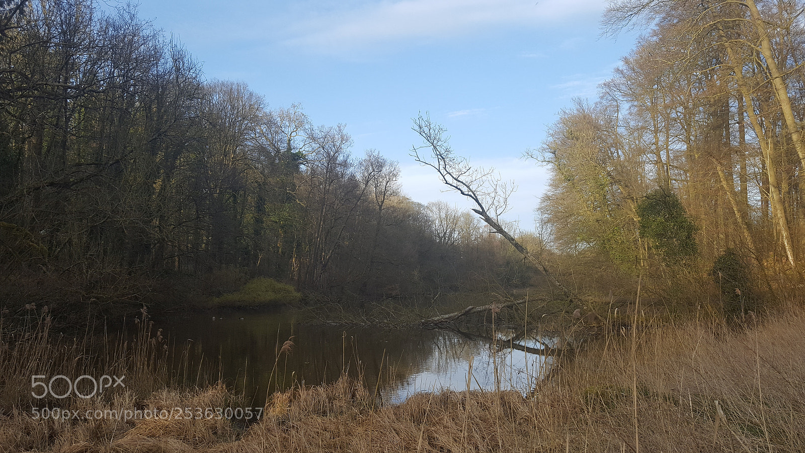 Samsung GALAXY S6 edge sample photo. Untendered lake photography