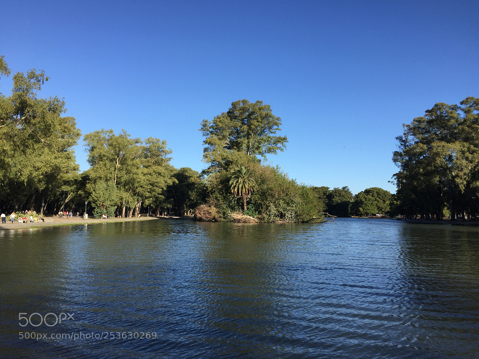 Apple iPhone 6 sample photo. • perfect afternoon • photography