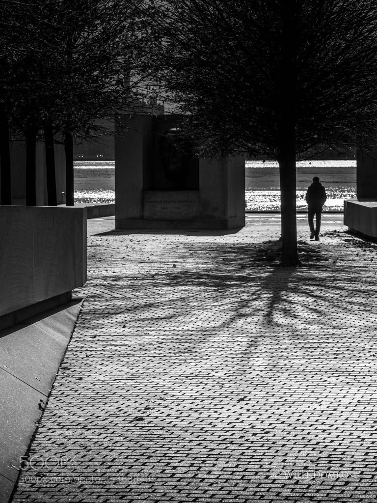 Olympus OM-D E-M1 Mark II sample photo. Walking alone photography