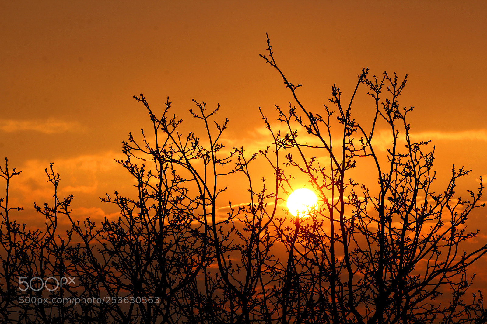 Canon EOS 60D sample photo. Sunrise photography