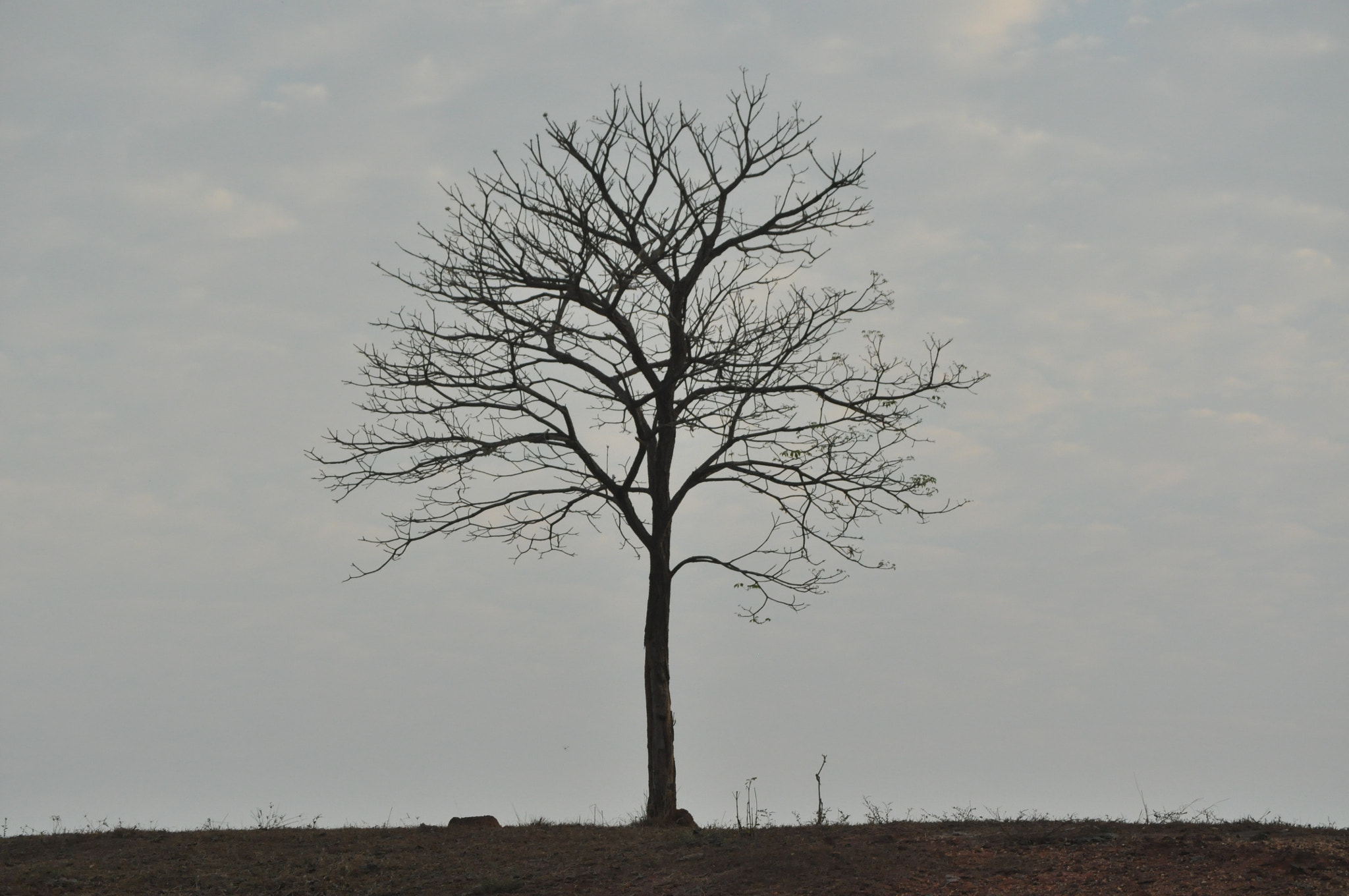 Nikon D5000 sample photo. Sin...titulo, enero de 2018, verano... photography
