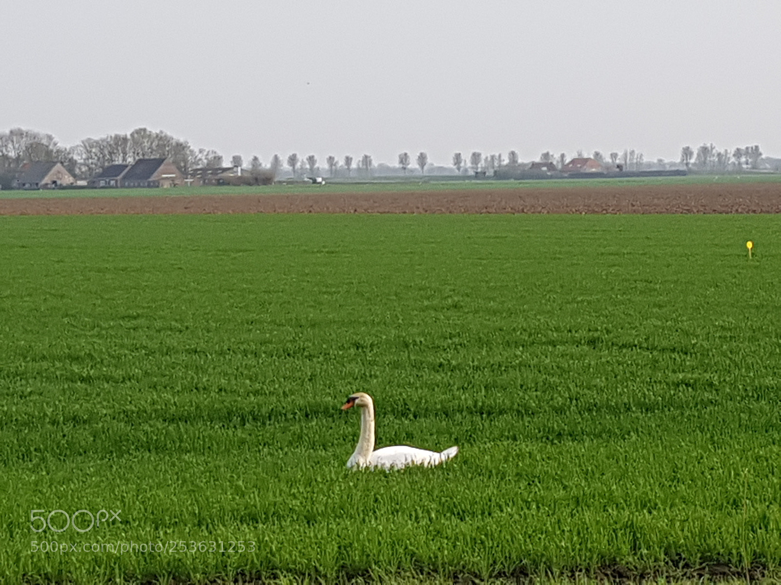 Samsung Galaxy S8+ sample photo. Untitled photography