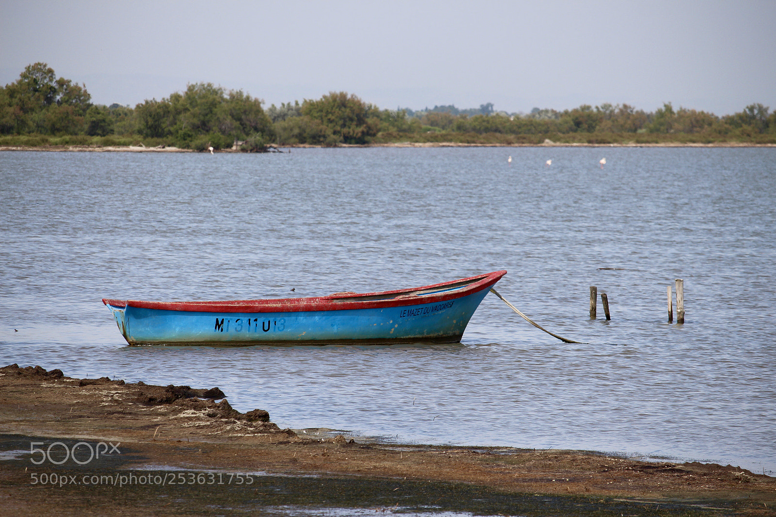 Canon EOS 700D (EOS Rebel T5i / EOS Kiss X7i) sample photo. Untitled photography