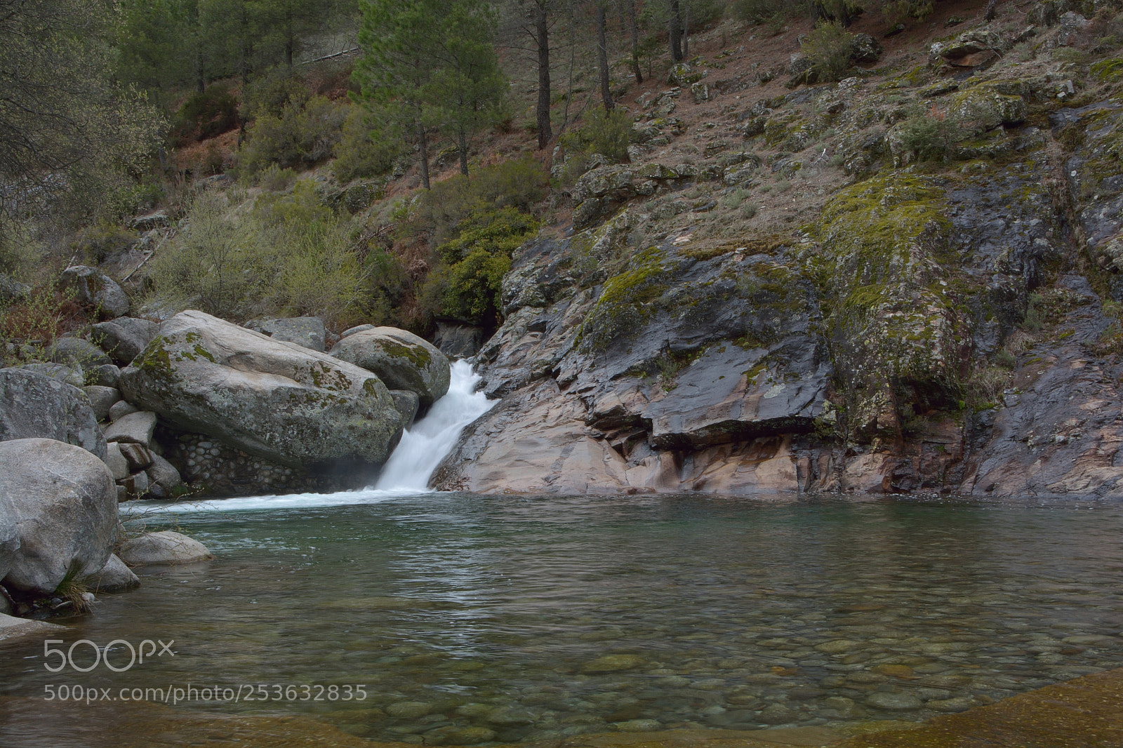 Nikon D7100 sample photo. Charco verde photography