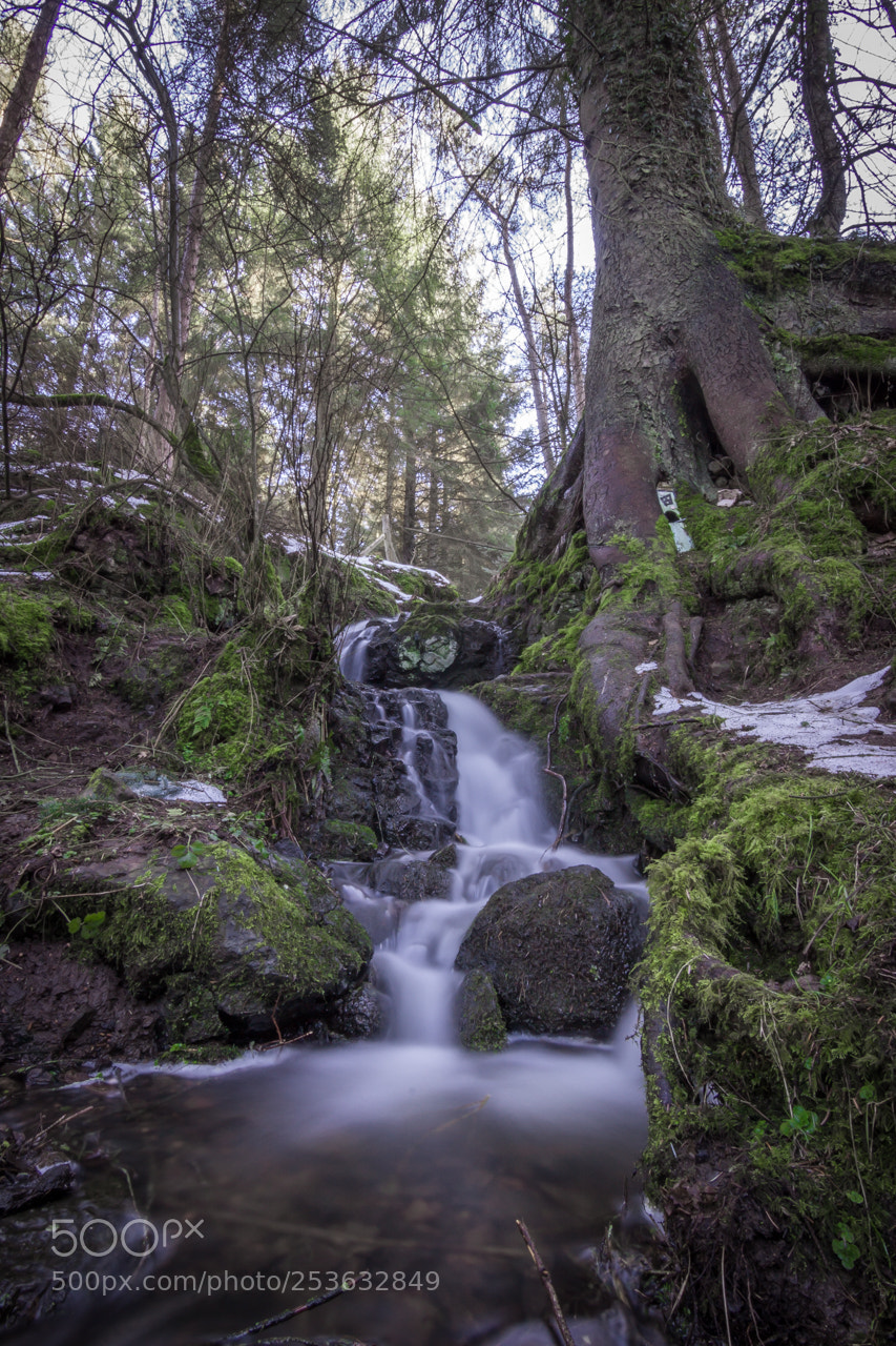 Canon EOS 600D (Rebel EOS T3i / EOS Kiss X5) sample photo. The wee river photography