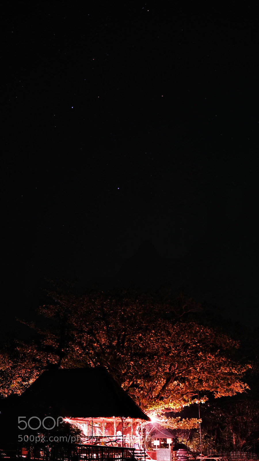 Fujifilm X-T20 sample photo. Big red light tree photography