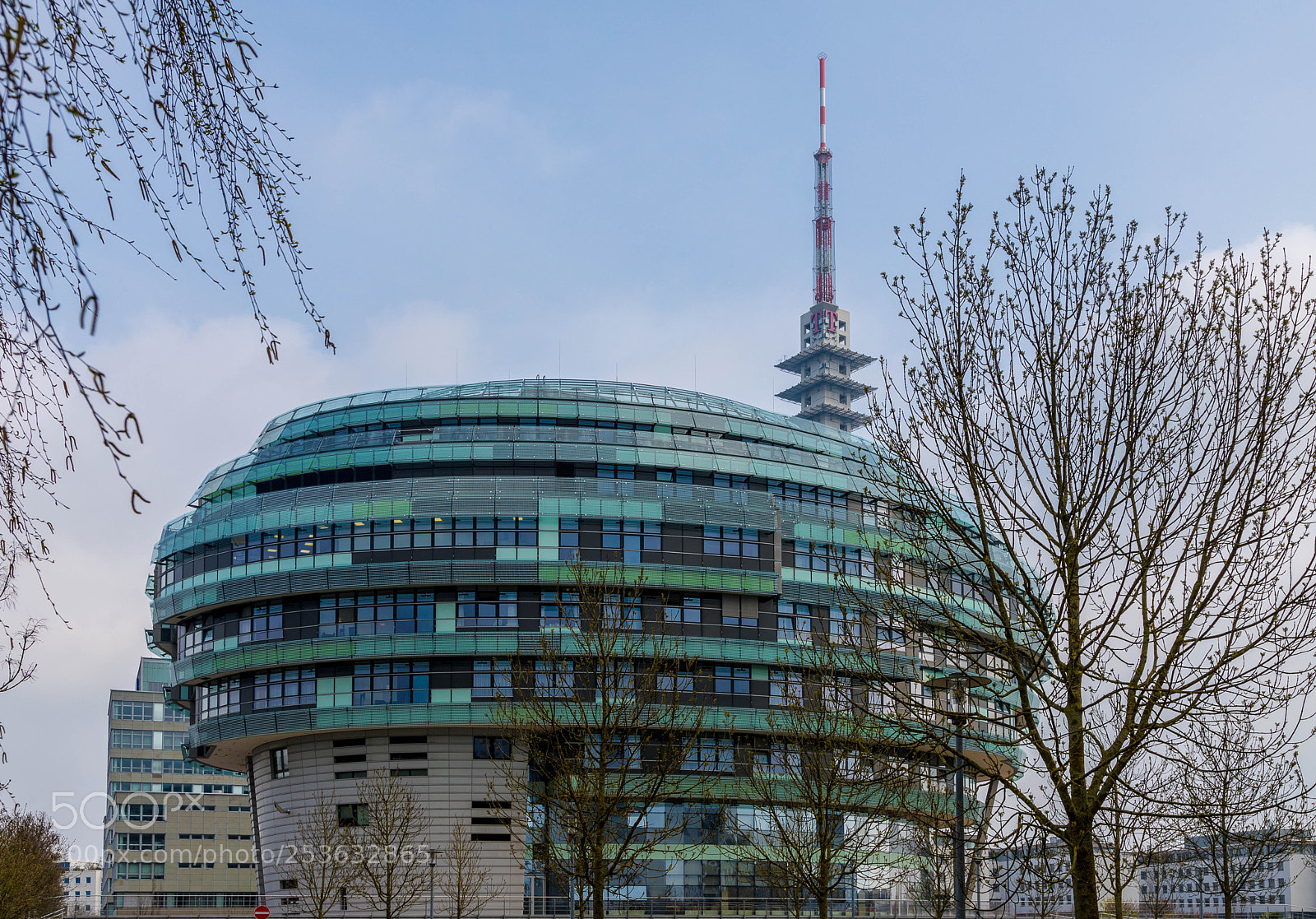 Canon EOS 6D Mark II sample photo. The brain photography