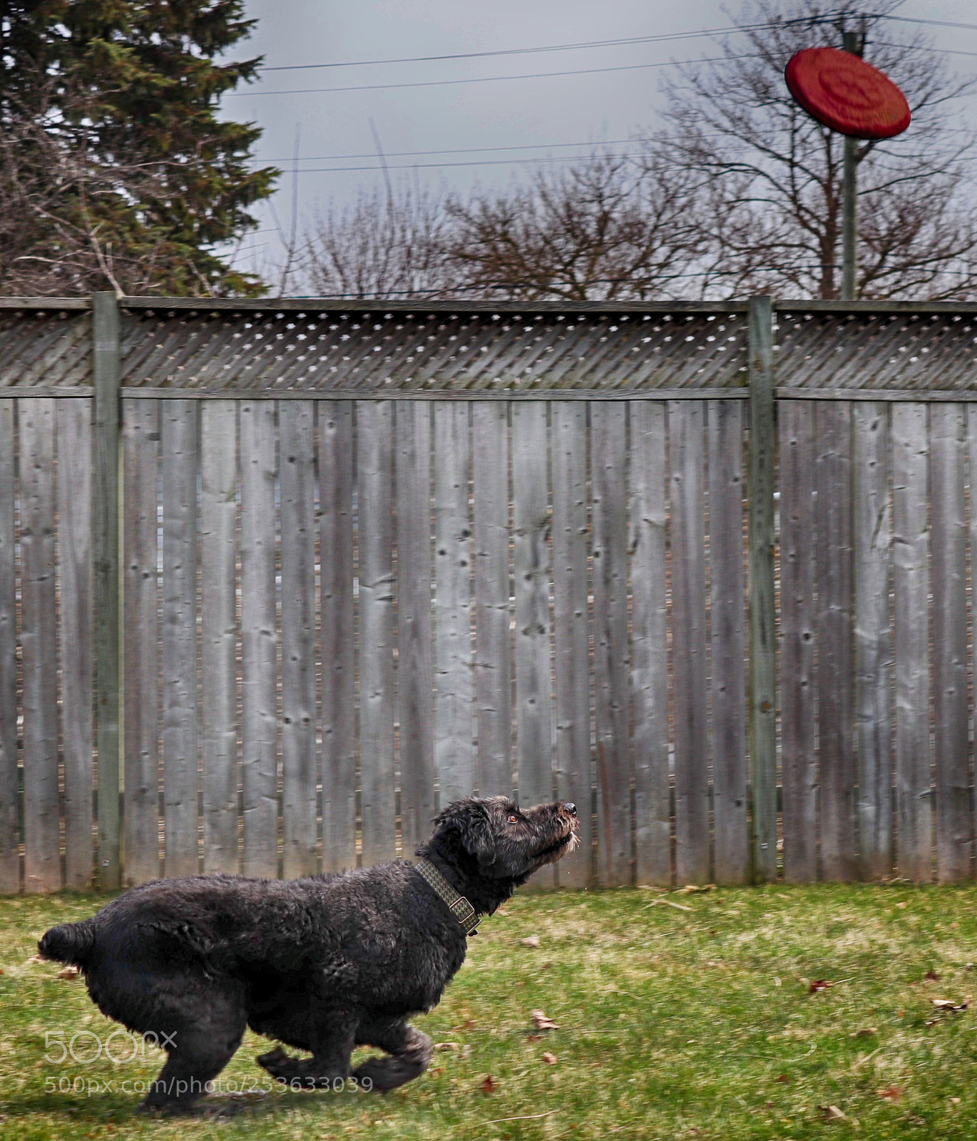 Canon EOS 77D (EOS 9000D / EOS 770D) sample photo. Full concentration photography