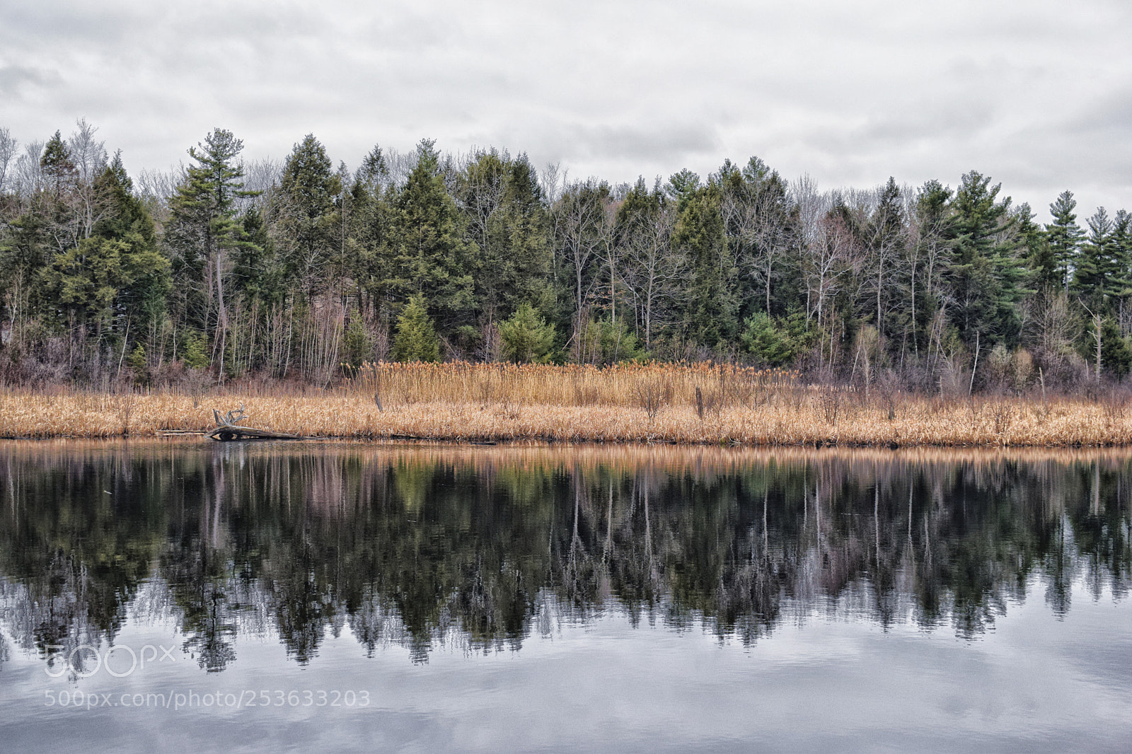 Nikon D3300 sample photo. Stoneford fire pond photography