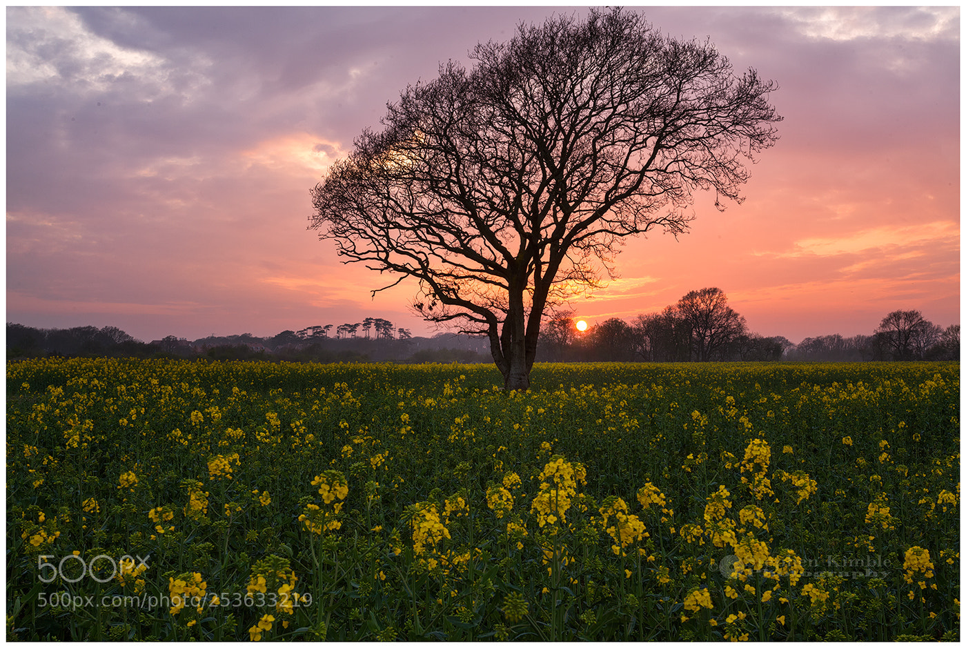 Canon EOS 5D Mark II sample photo. Spring has sprung photography