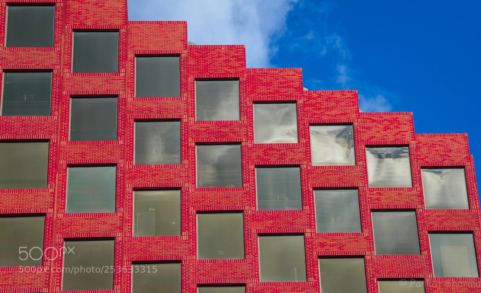 Nikon D610 sample photo. Red and blue photography