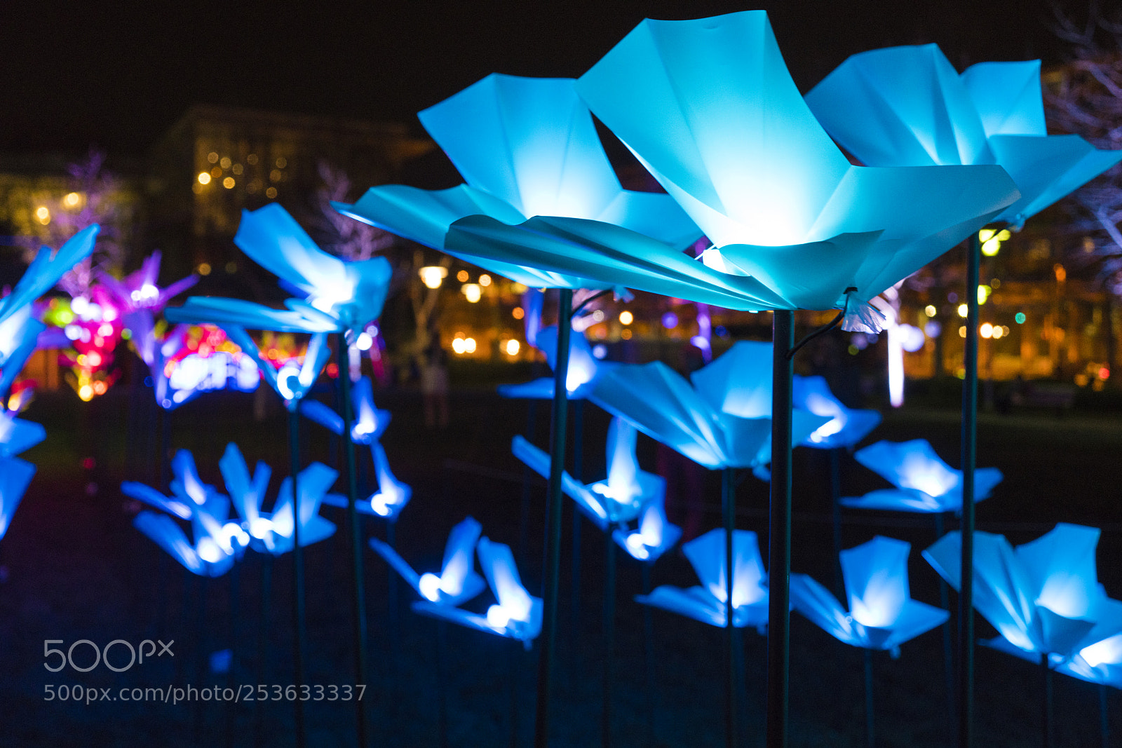 Sony a7R II sample photo. Light city baltimore 2018 photography