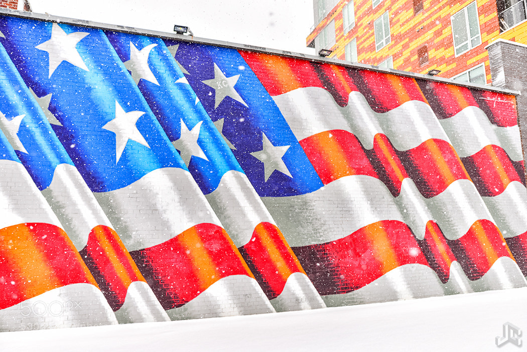 Nikon D610 sample photo. Flag mural in snowstorm photography