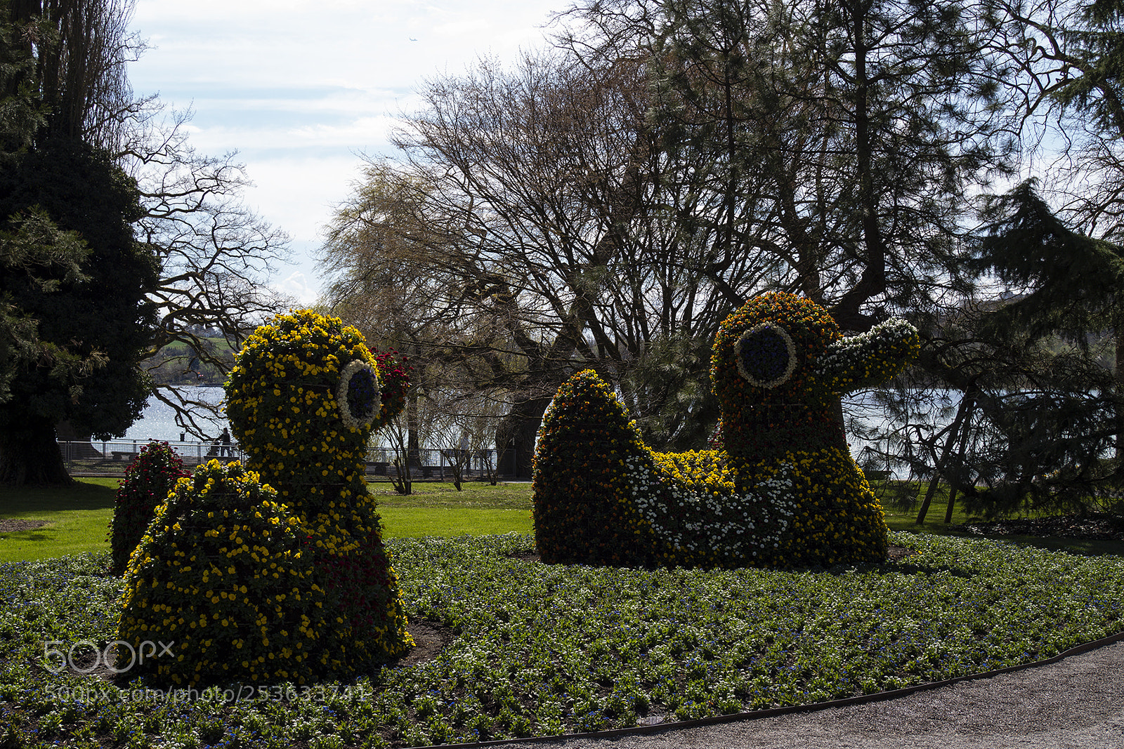 Olympus PEN-F sample photo. Spring time mainau, bodensee photography