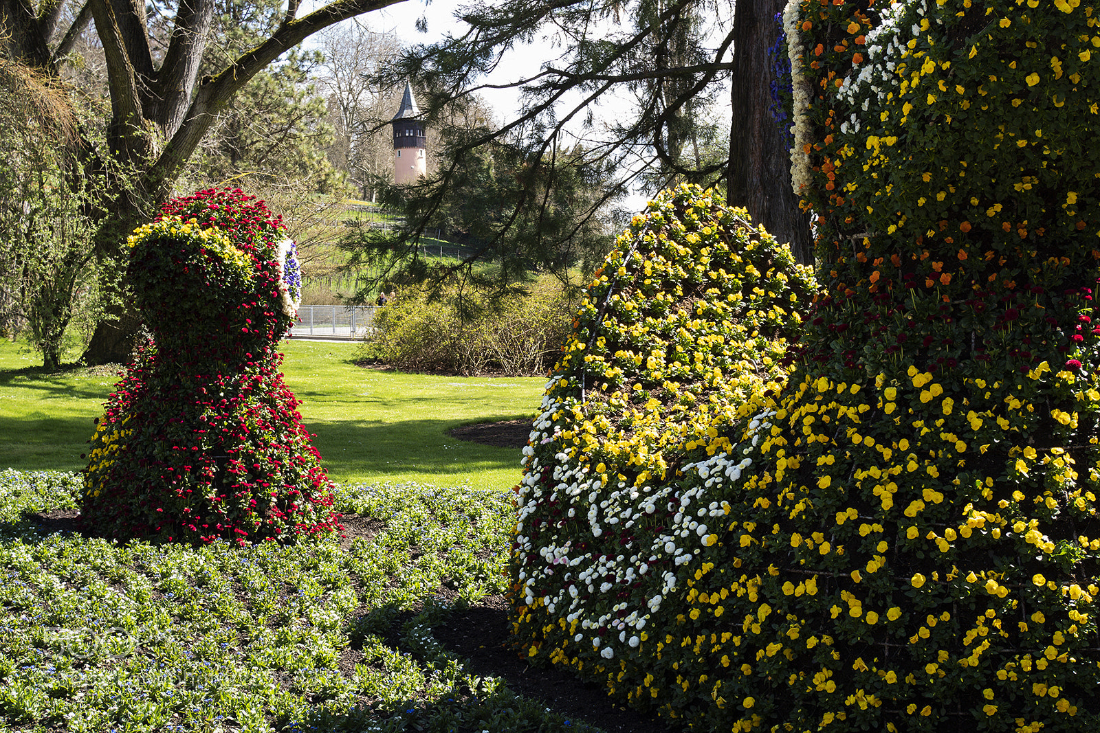 Olympus PEN-F sample photo. Spring time mainau, bodensee photography