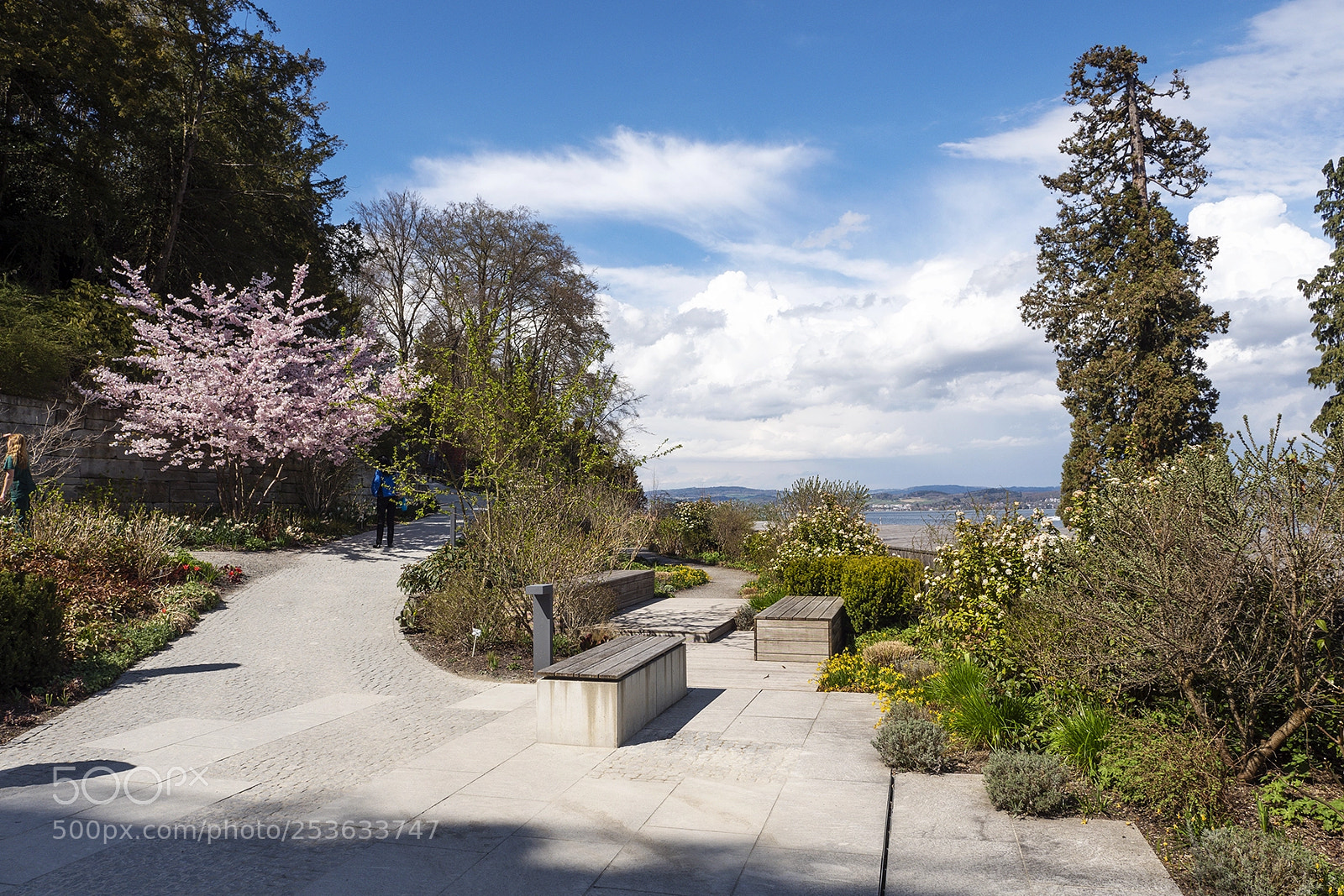 Olympus PEN-F sample photo. Spring time mainau, bodensee photography