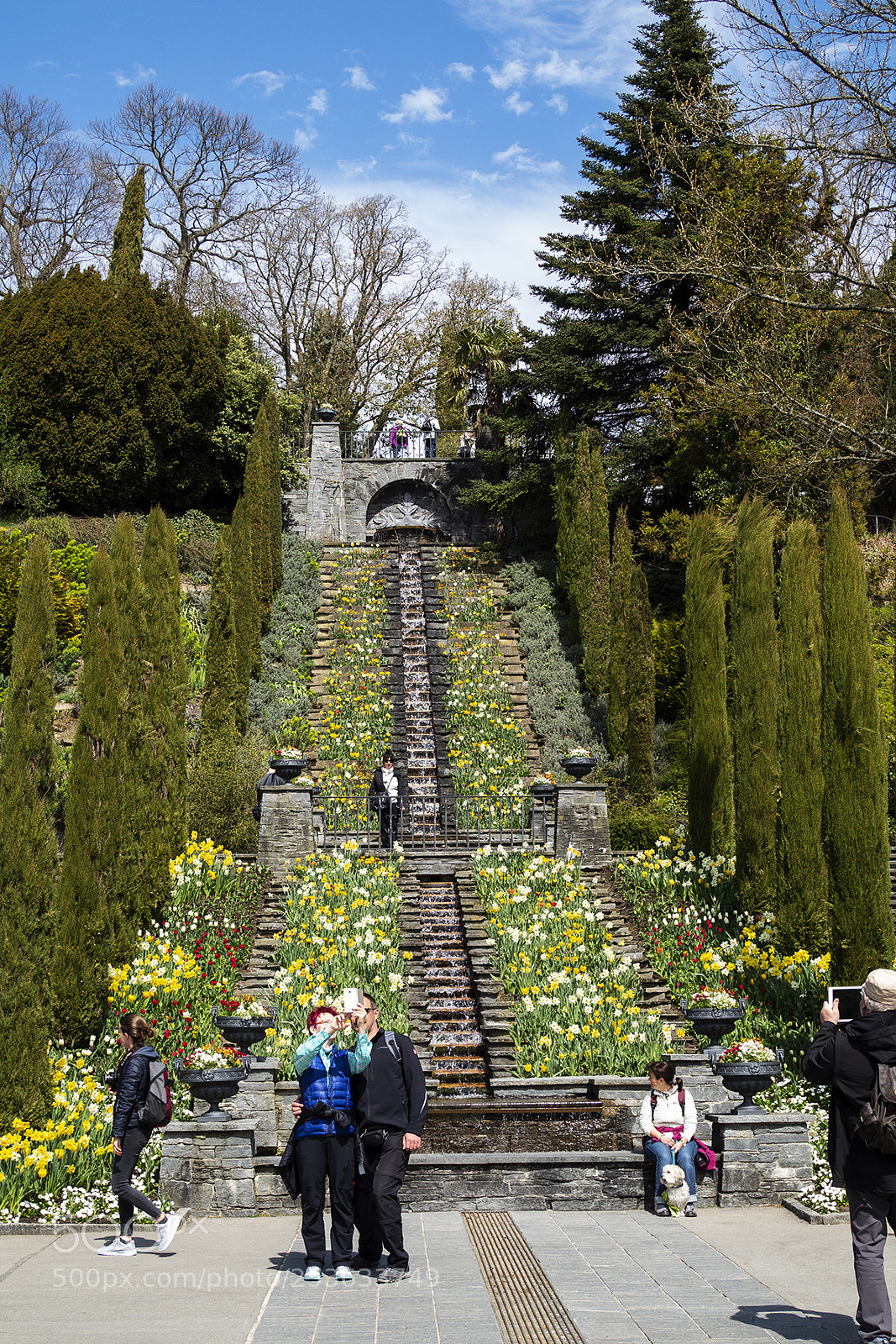 Olympus PEN-F sample photo. Spring time mainau, bodensee photography