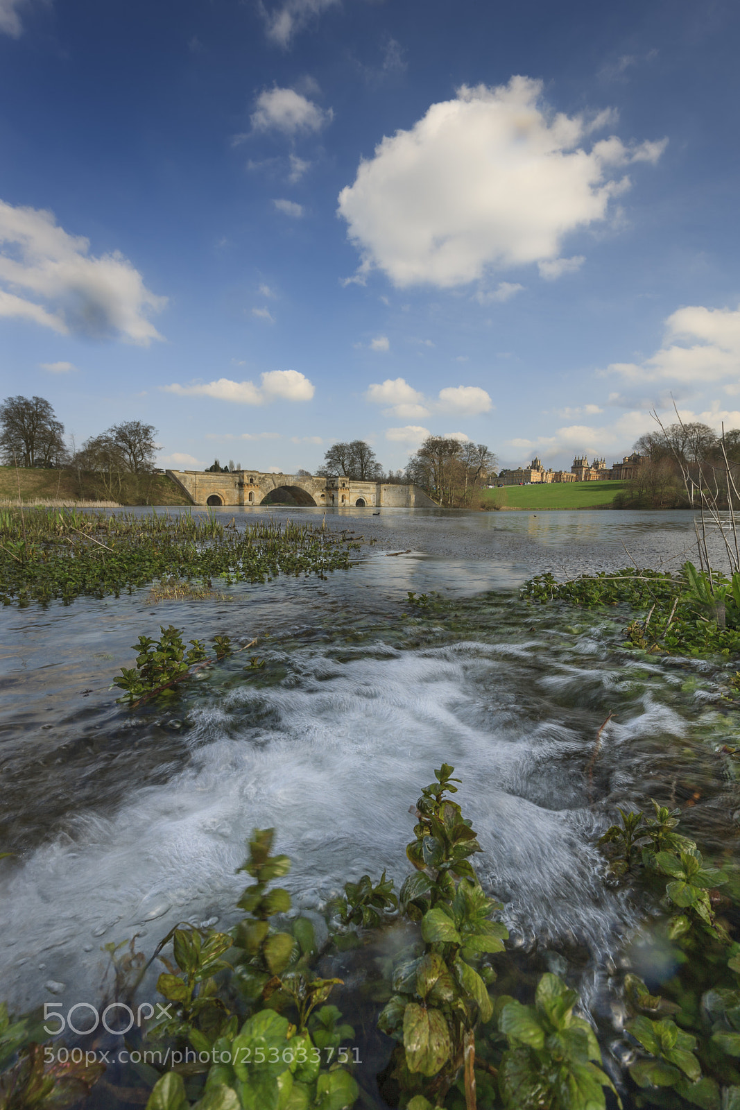 Canon EOS-1Ds Mark III sample photo. Blenheim palace bridge low photography