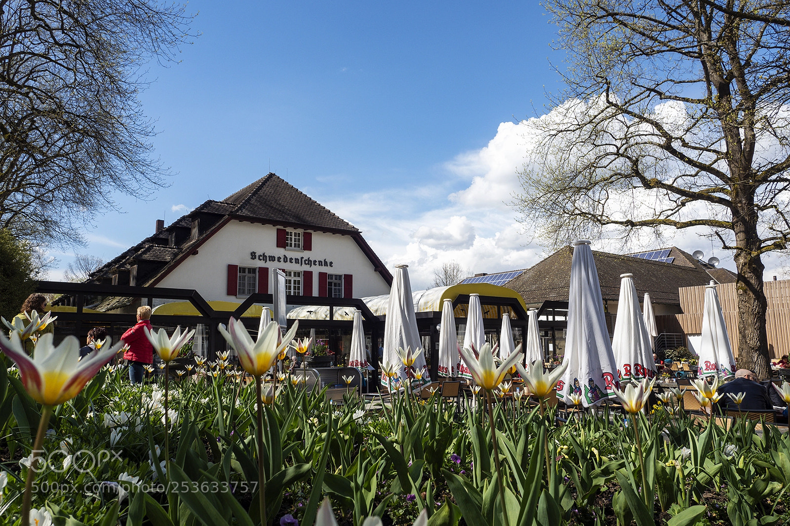 Olympus PEN-F sample photo. Spring time mainau, bodensee photography