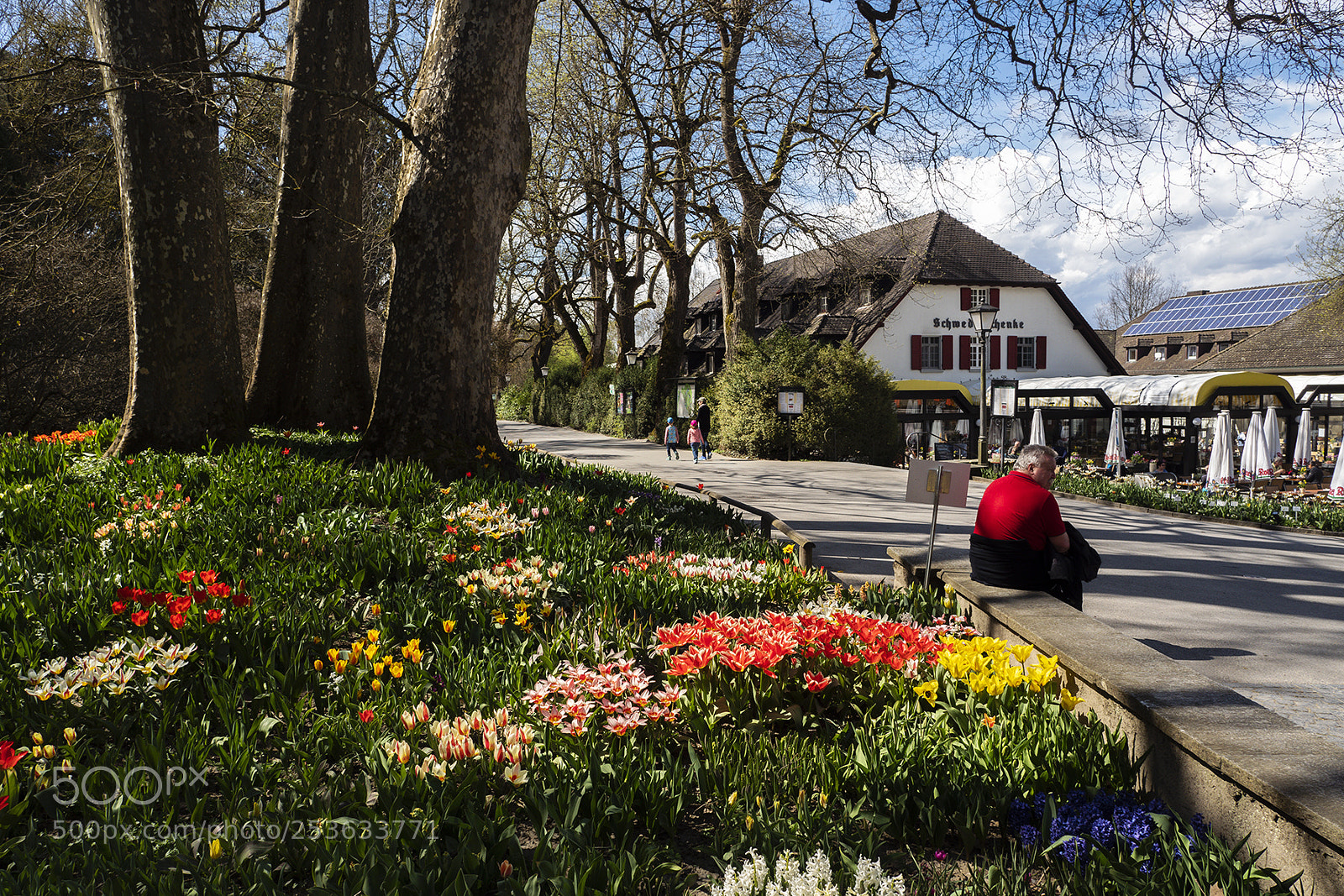Olympus PEN-F sample photo. Spring time mainau, bodensee photography