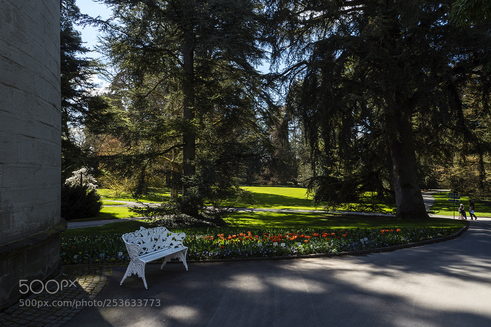 Olympus PEN-F sample photo. Spring time mainau, bodensee photography