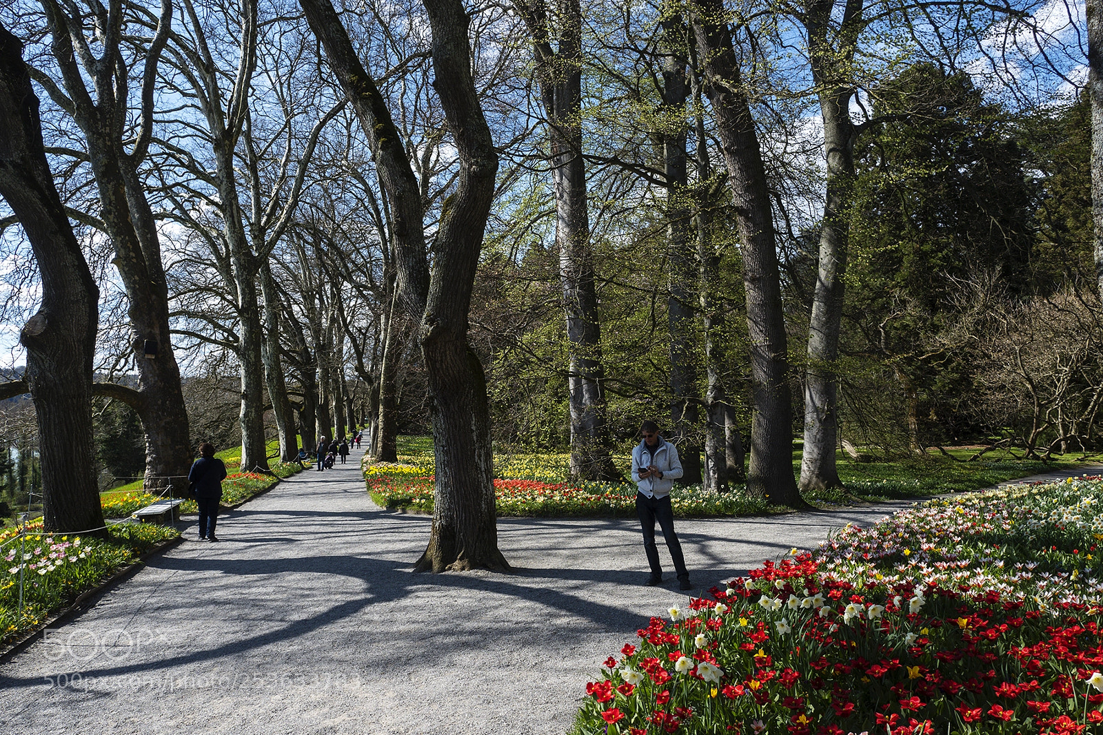Olympus PEN-F sample photo. Spring time mainau, bodensee photography